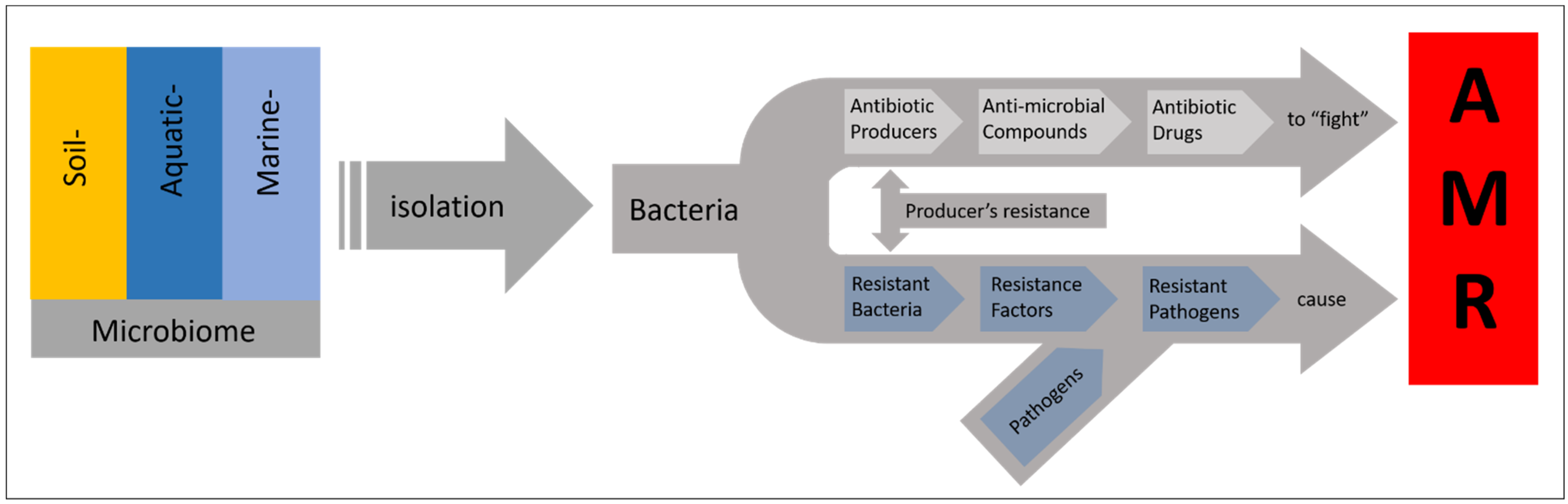 Natural Products as Platforms To Overcome Antibiotic Resistance