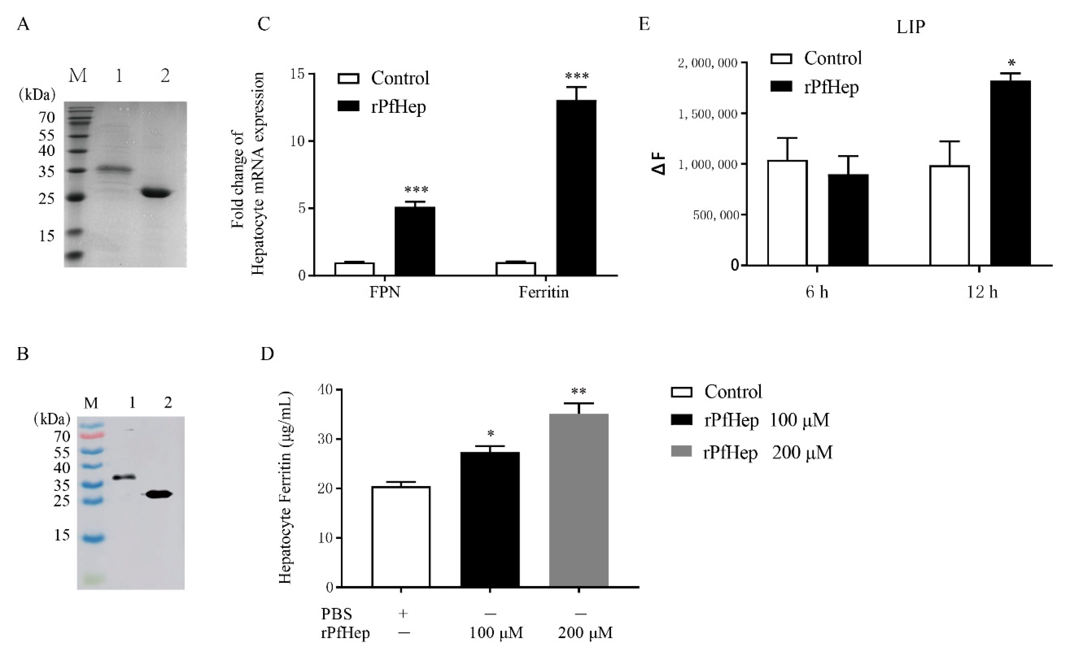 Antibiotics 10 00848 g001