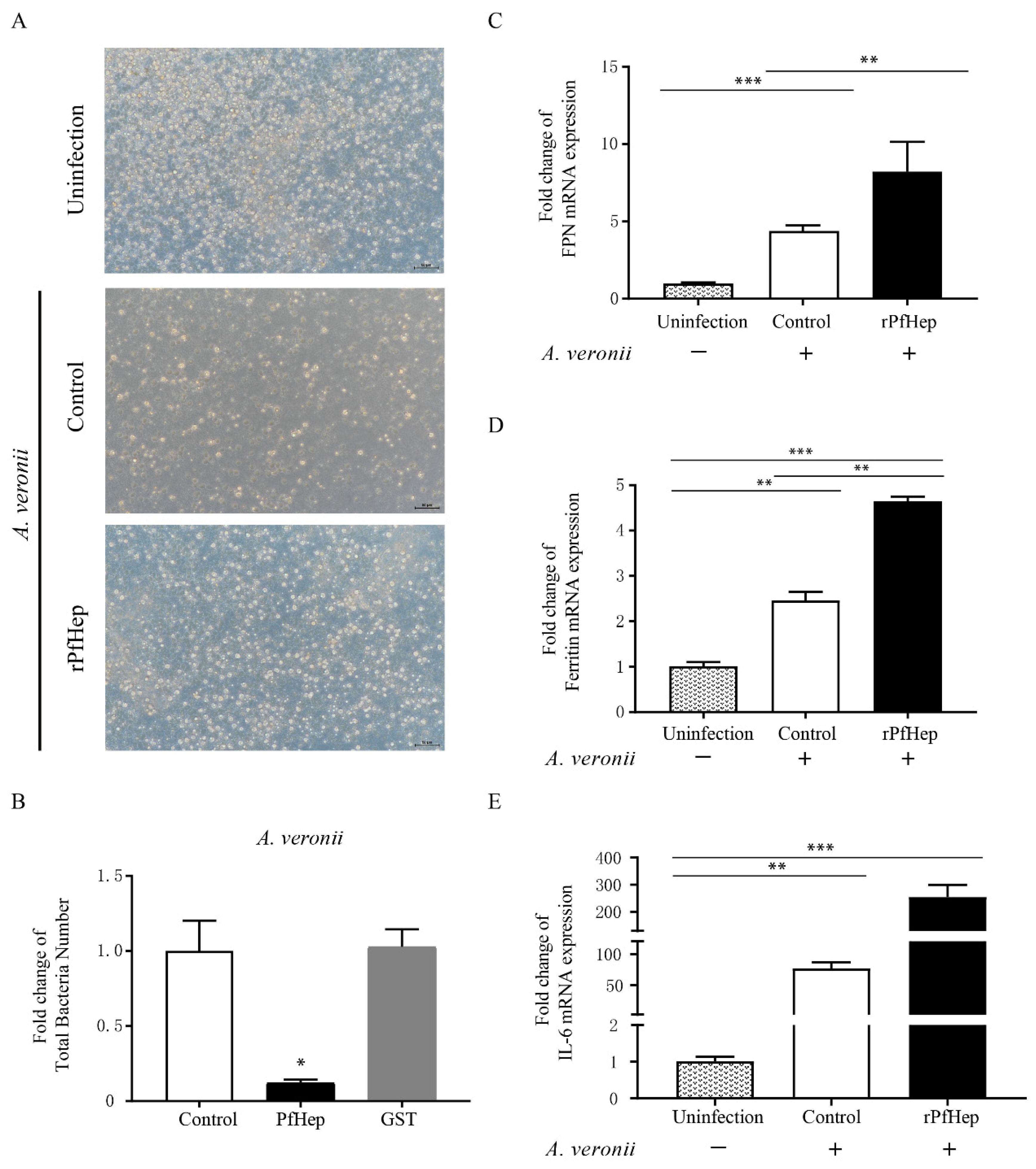 Antibiotics 10 00848 g002