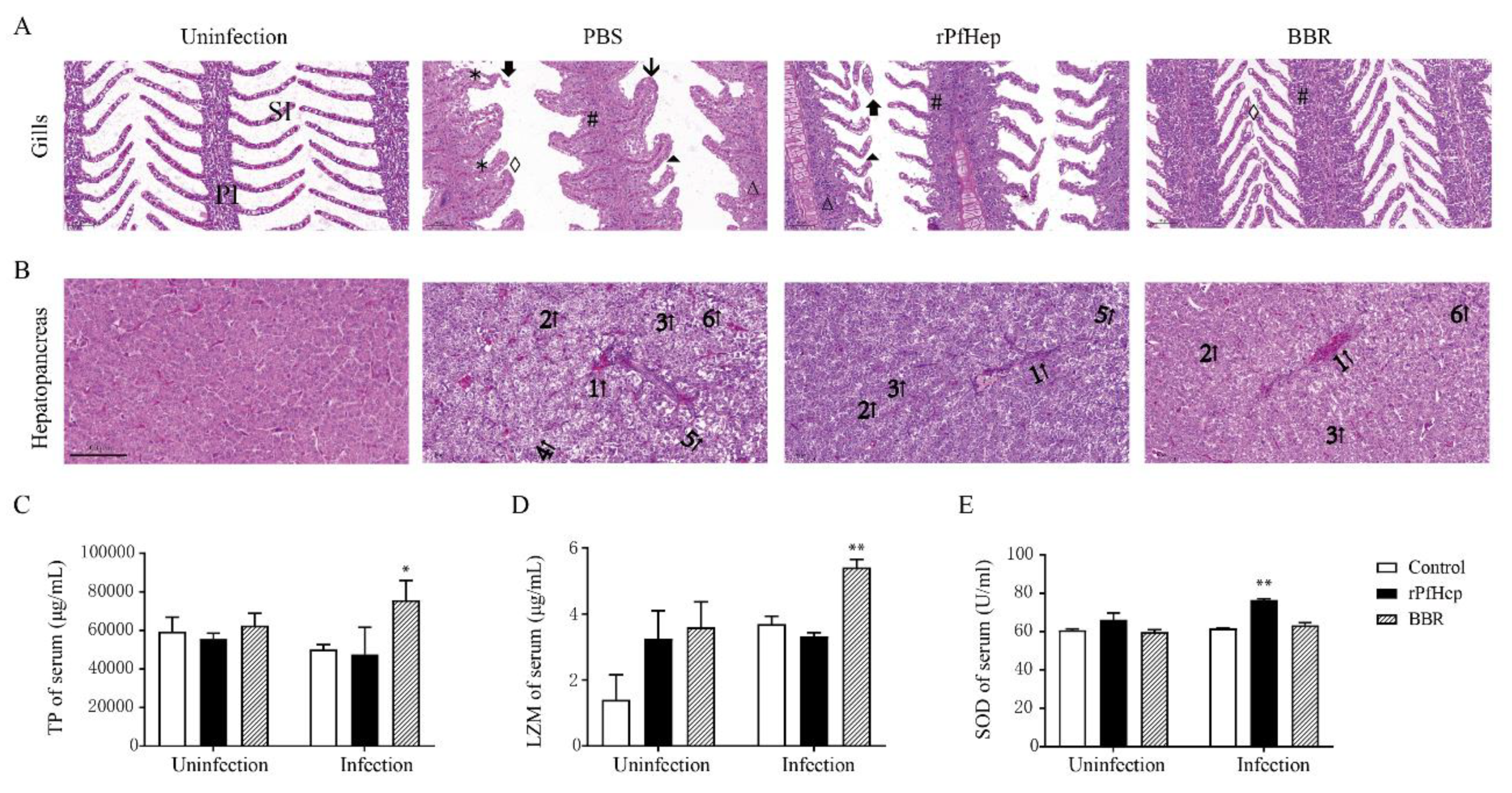 Antibiotics 10 00848 g005