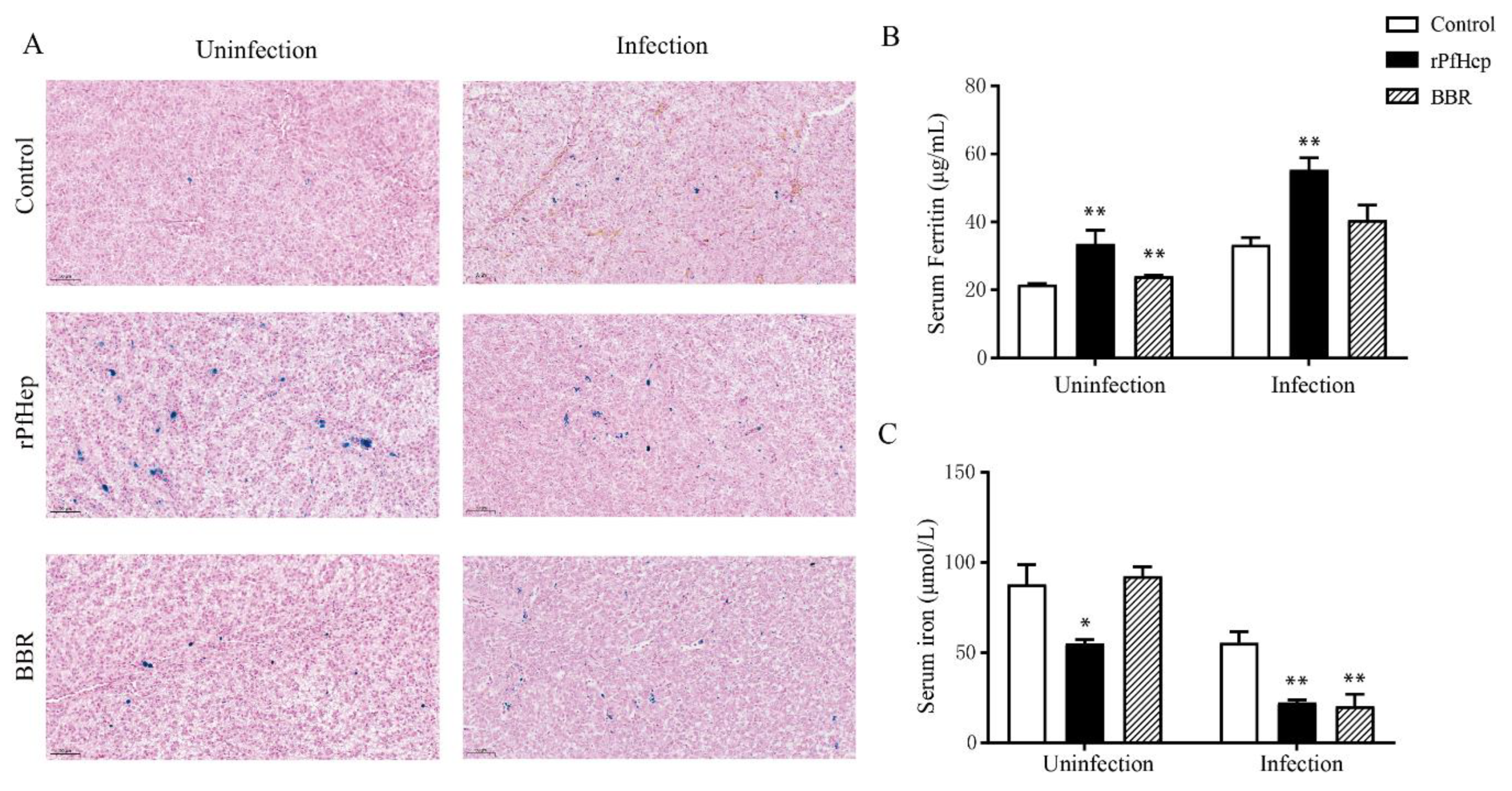 Antibiotics 10 00848 g006