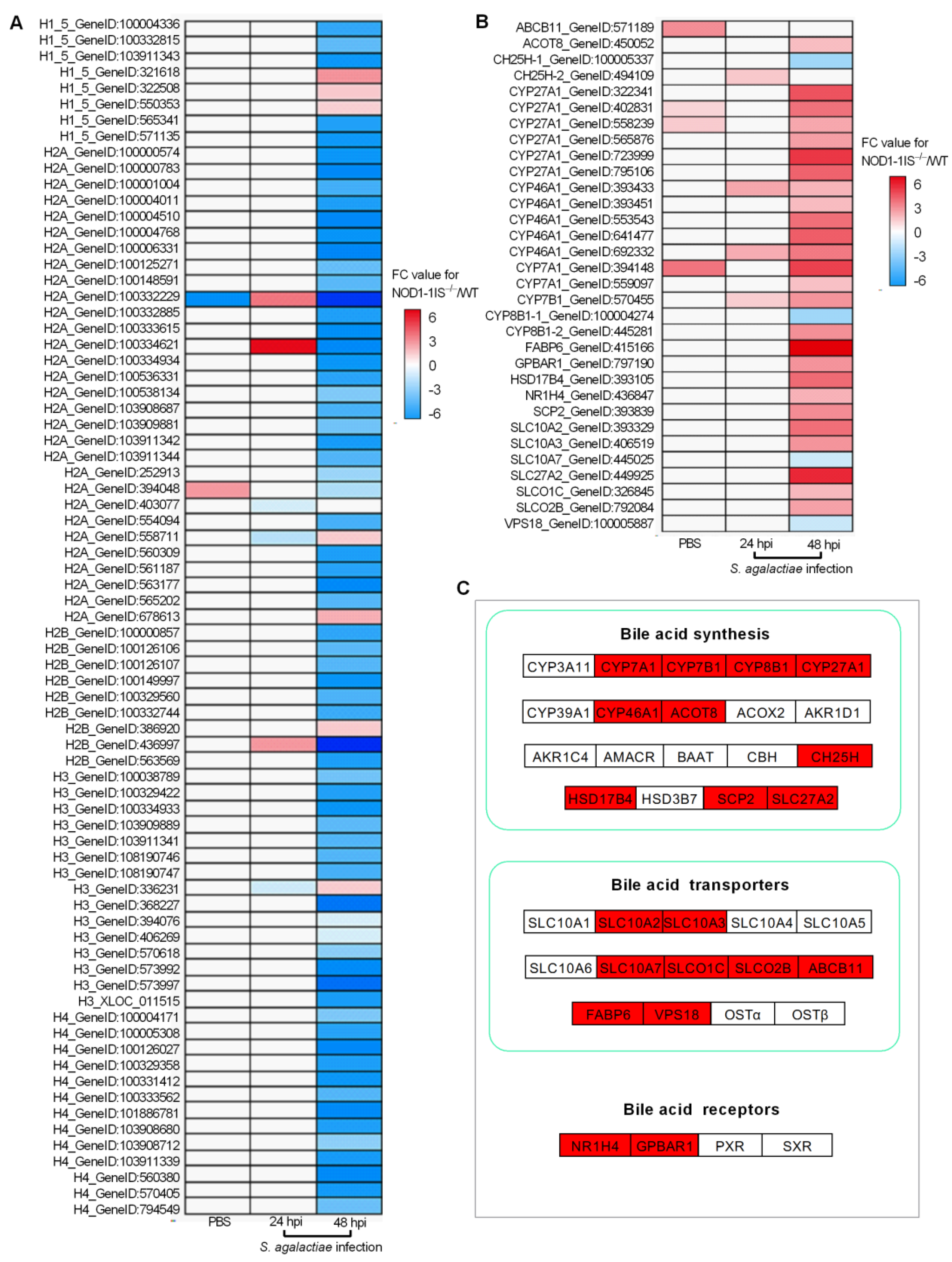 Antibiotics 10 00861 g004