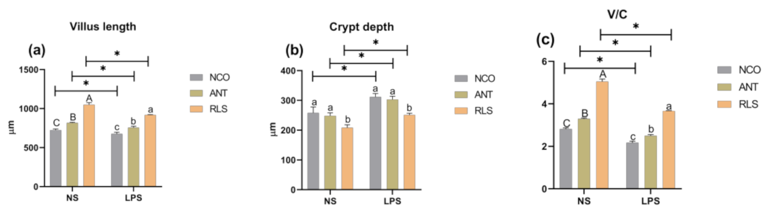 Antibiotics 10 00905 g001
