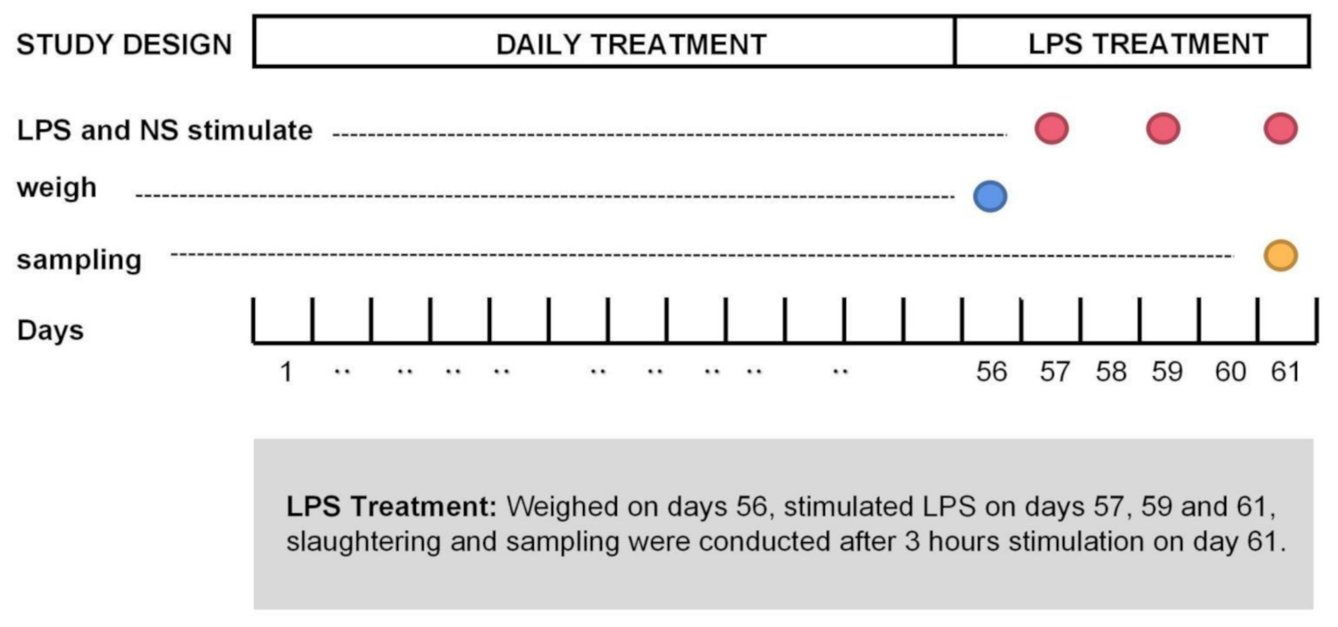 Antibiotics 10 00905 g006