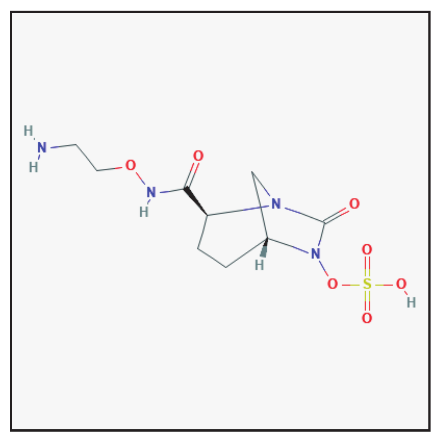 Antibiotics 10 00995 g008