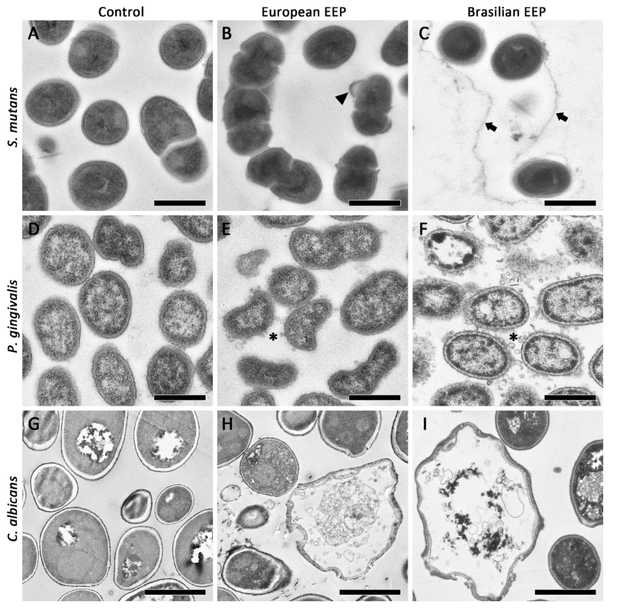 Antibiotics 10 01045 g002