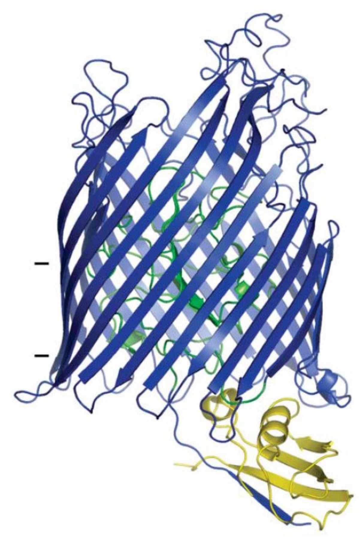 Antibiotics 10 01109 g003 Antibiotics 10 01109 g003