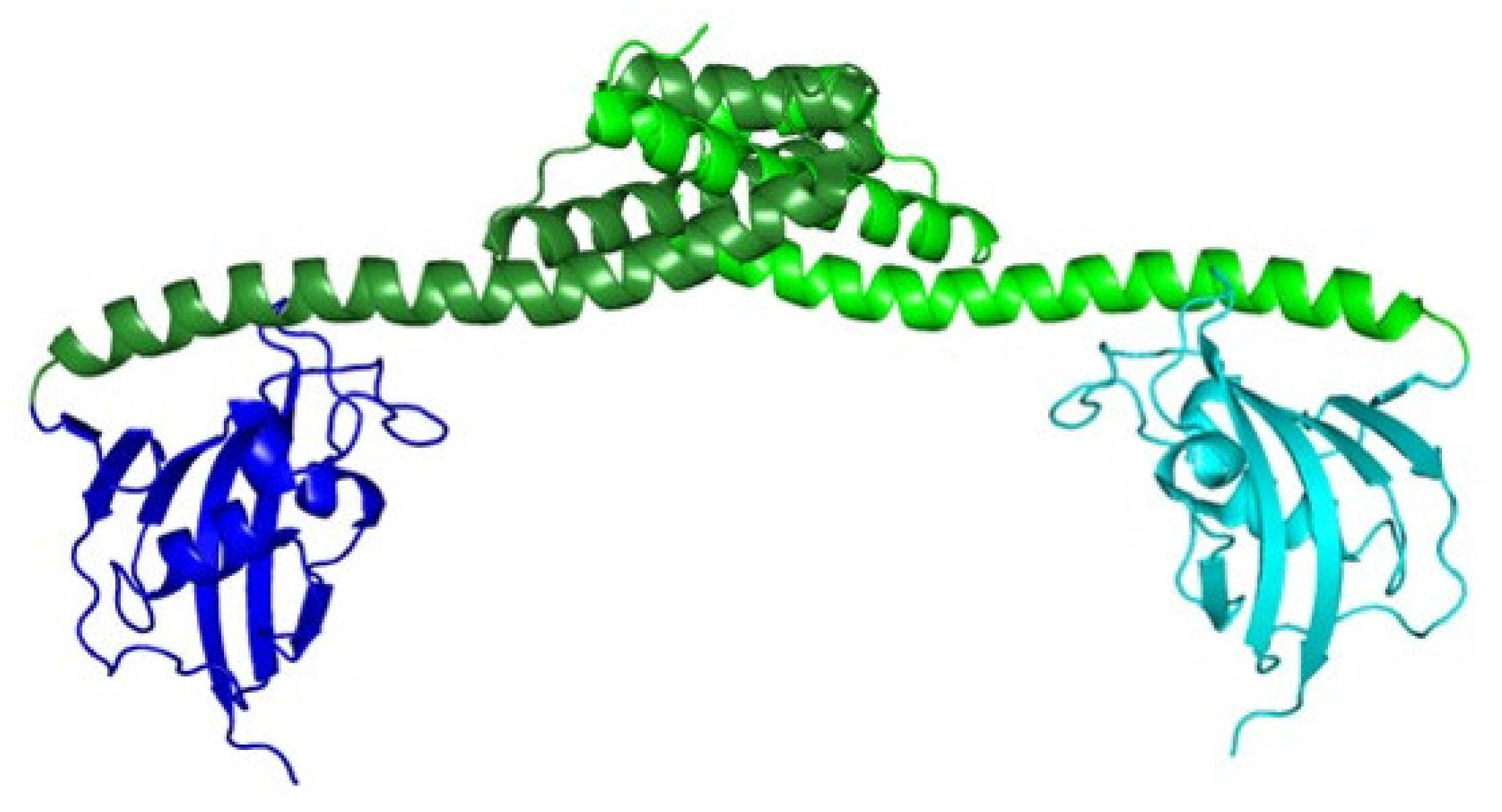 Antibiotics 10 01109 g004 Antibiotics 10 01109 g004