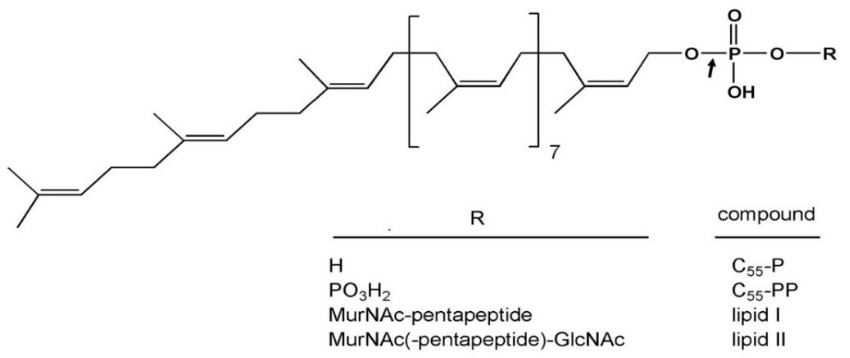 Antibiotics 10 01109 g006 Antibiotics 10 01109 g006