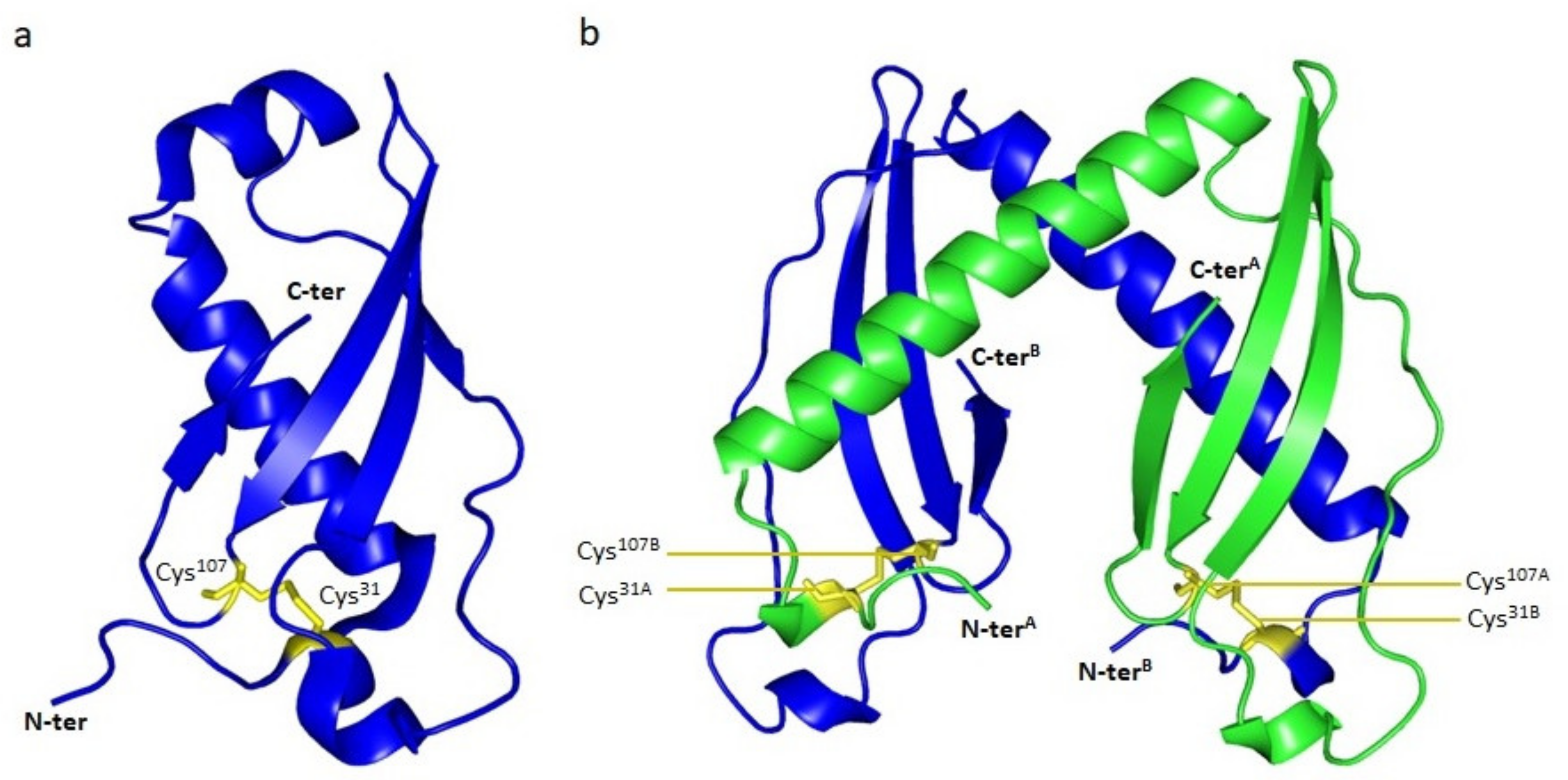 Antibiotics 10 01109 g008 Antibiotics 10 01109 g008