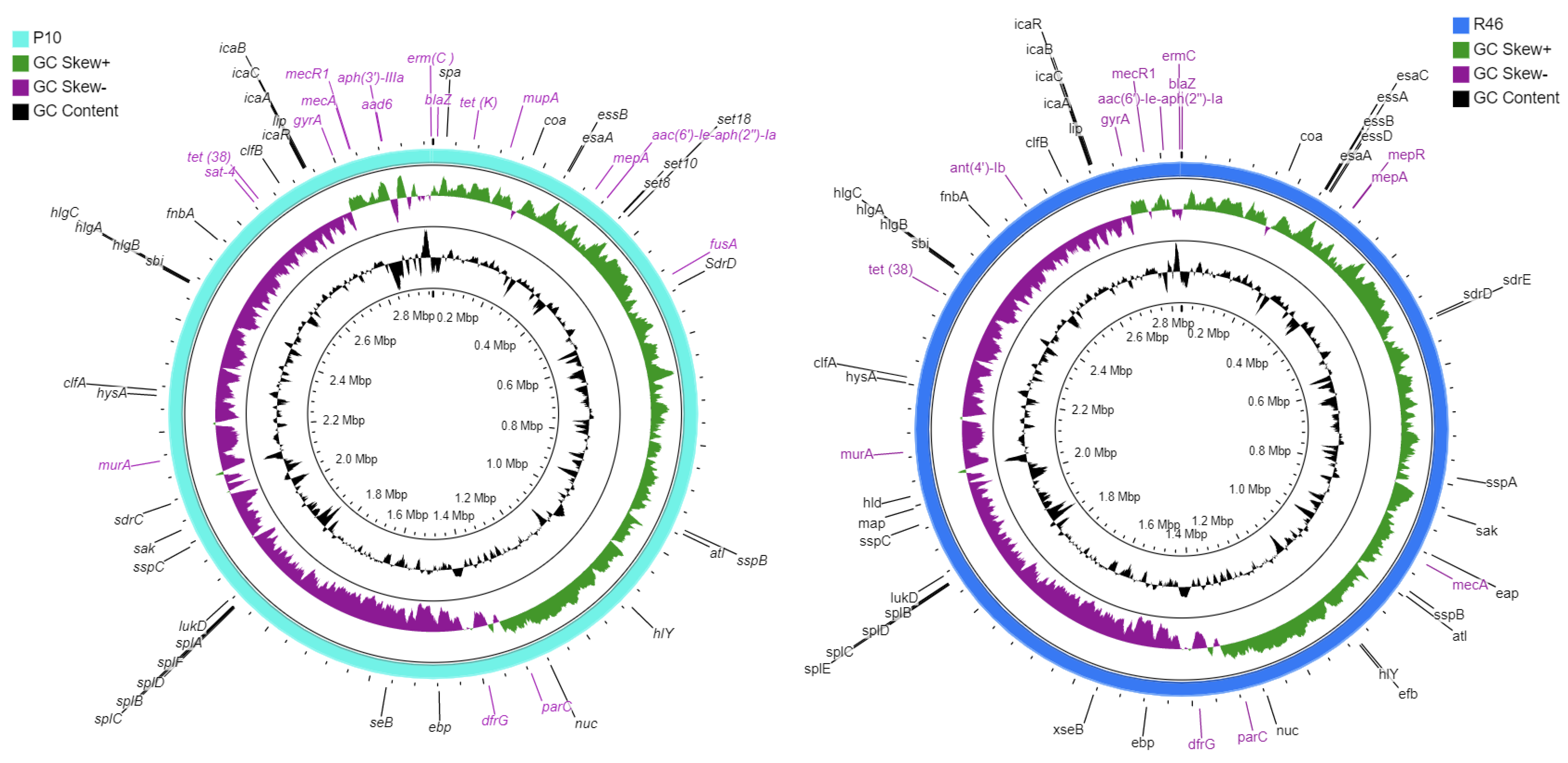 Antibiotics 10 01121 g001