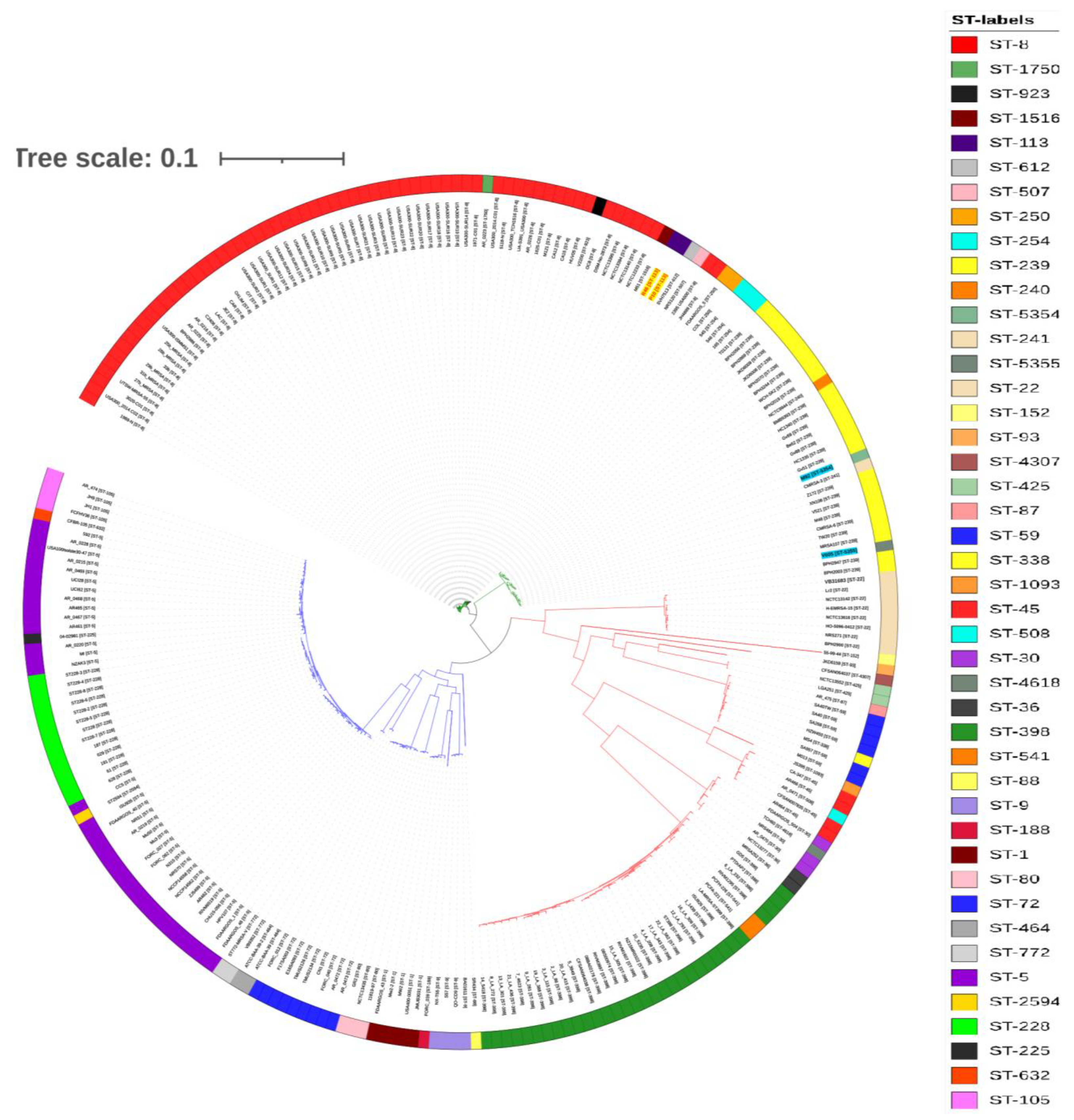 Antibiotics 10 01121 g003