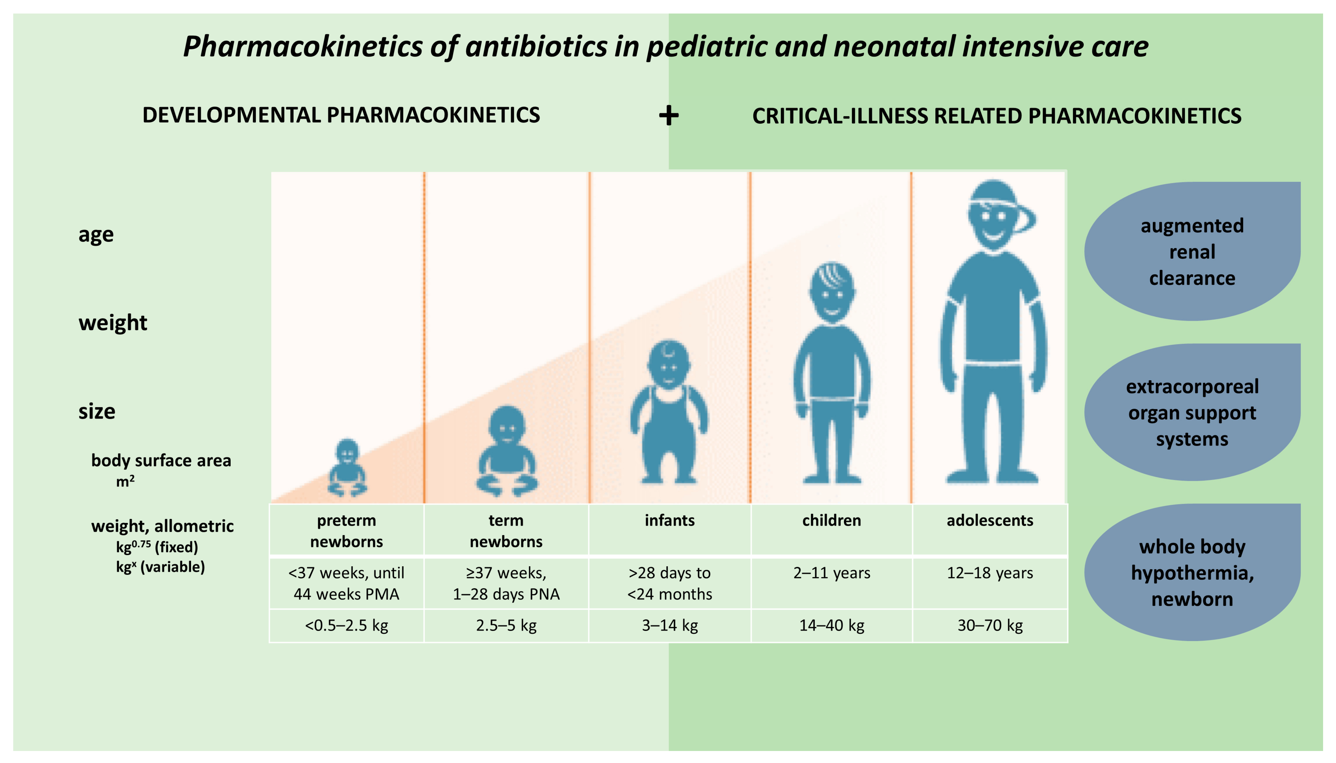 Antibiotics | Free Full-Text | Pharmacokinetics of Antibiotics in Pediatric  Intensive Care: Fostering Variability to Attain Precision Medicine | HTML