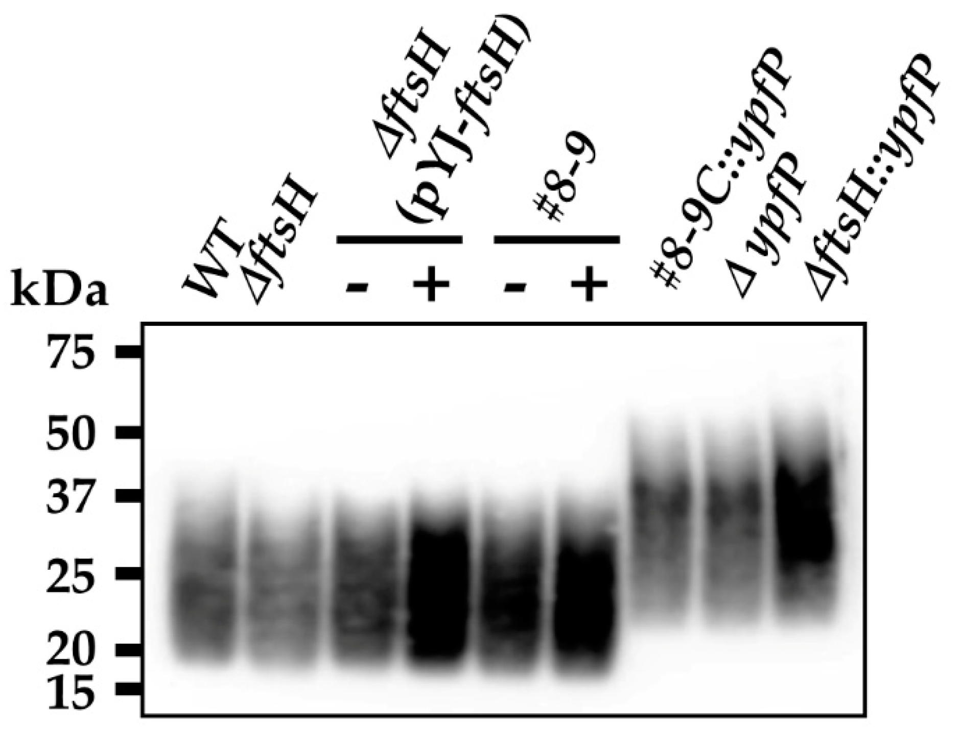 Antibiotics 10 01198 g002
