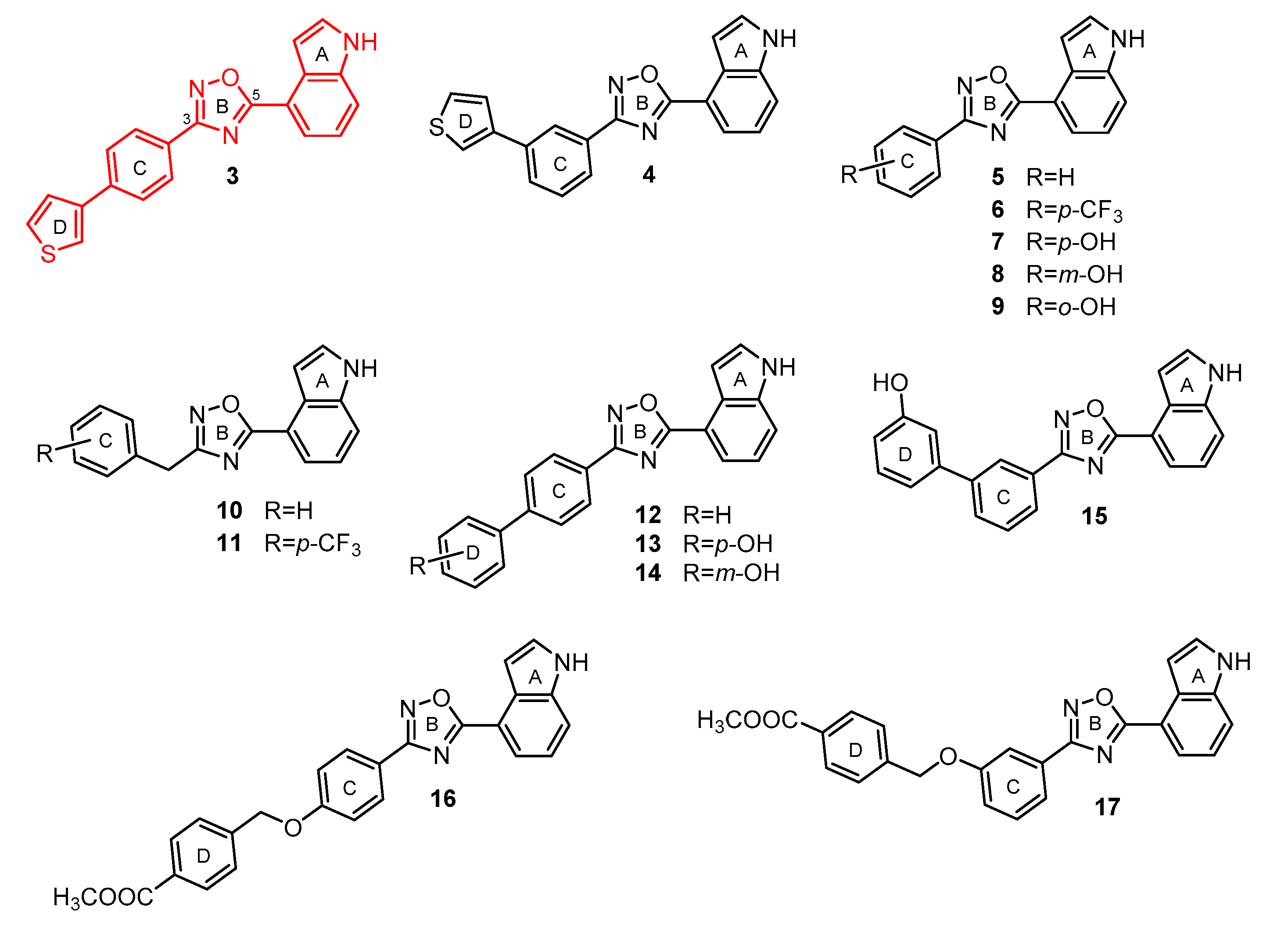 Oxadiazoles antibiotics