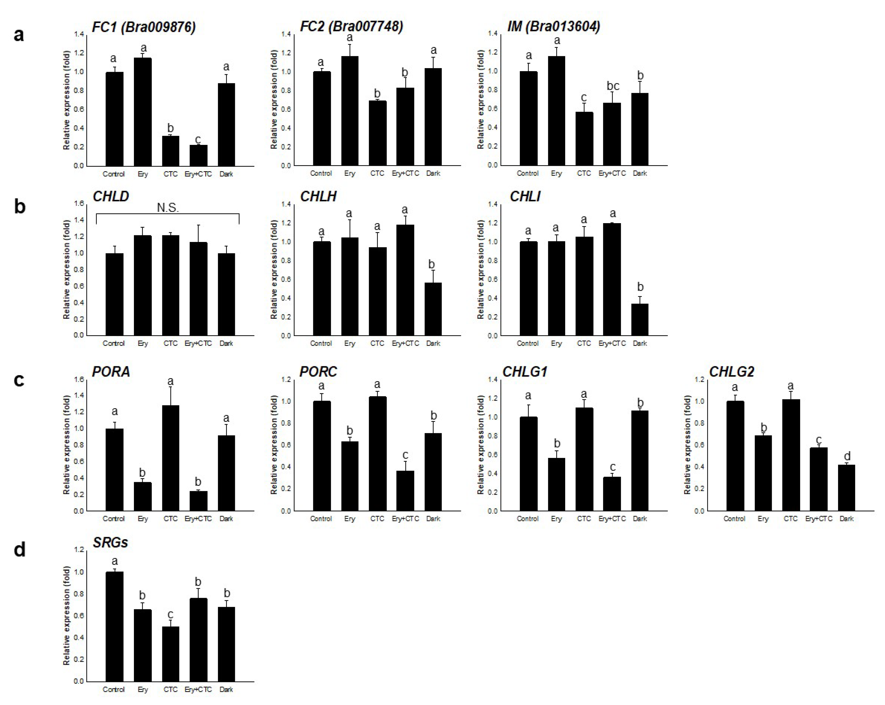 Antibiotics 10 01273 g003