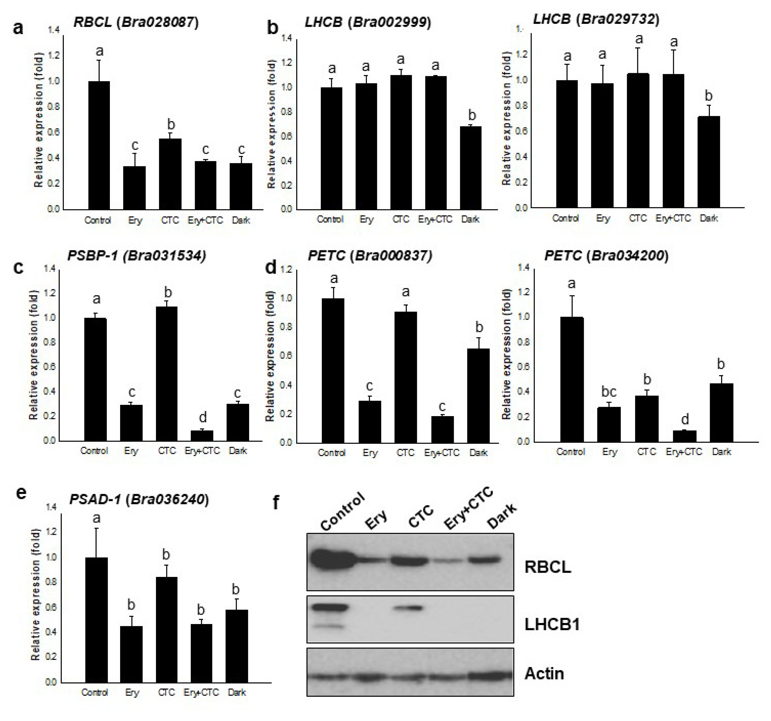 Antibiotics 10 01273 g004