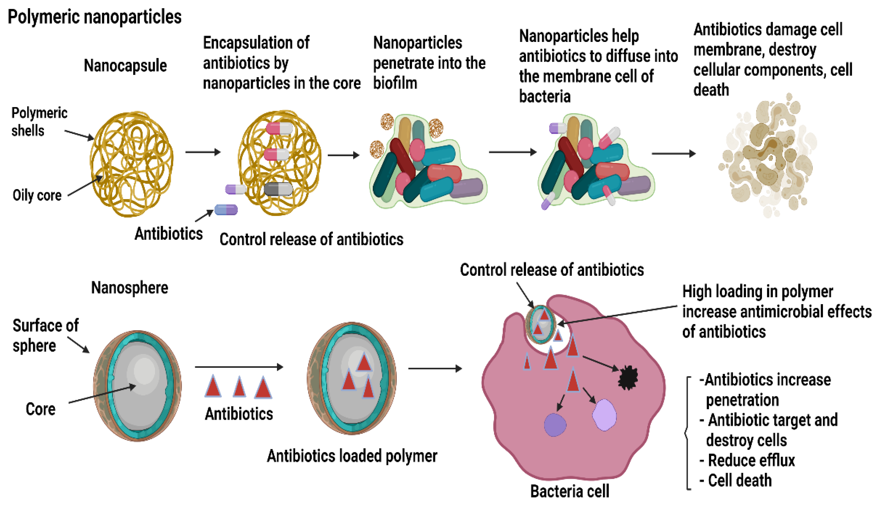 antibiotics free full text potential of nanoparticles integrated with antibacterial properties in preventing biofilm and antibiotic resistance html