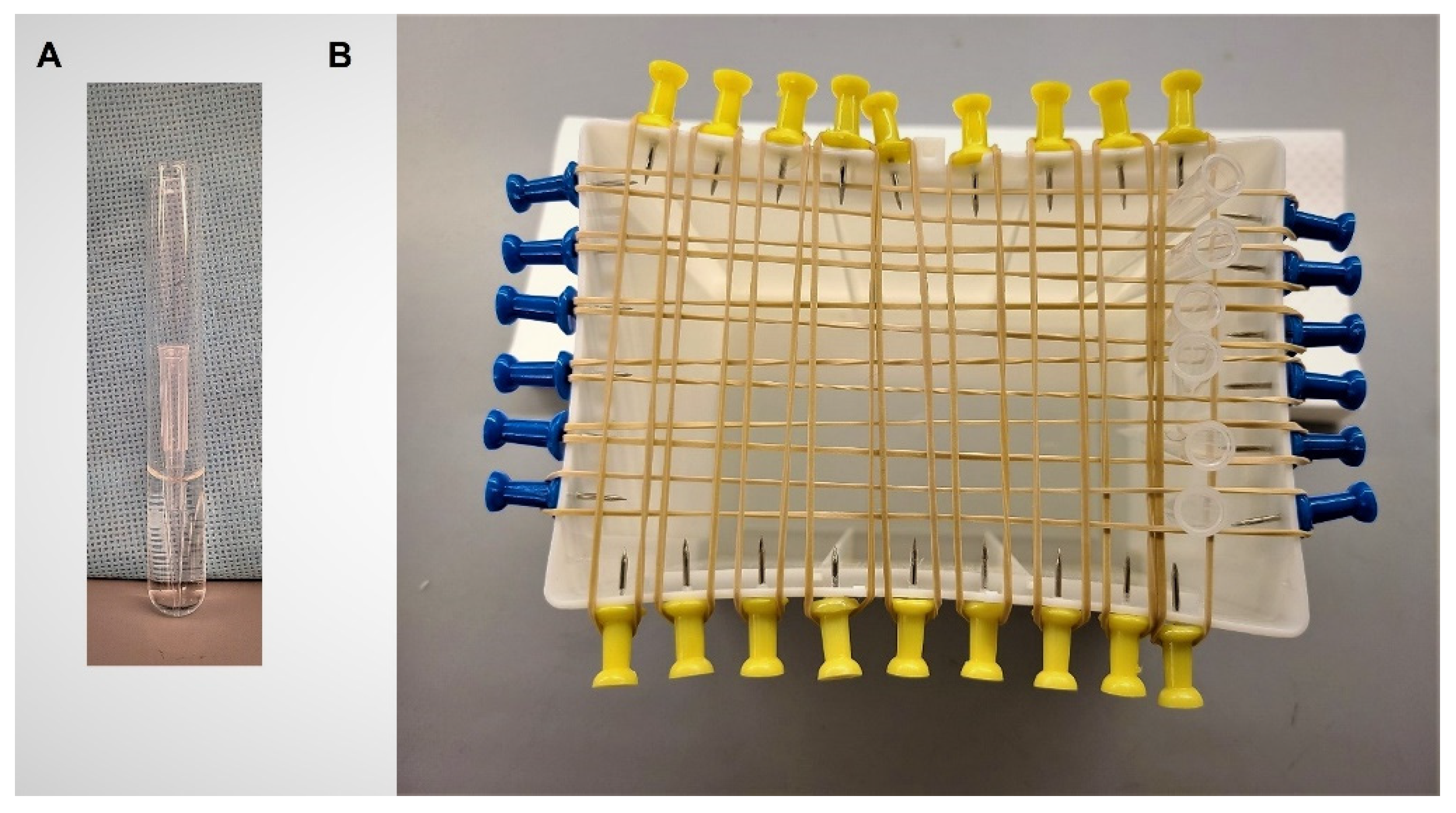 Antibiotics 10 01349 g005