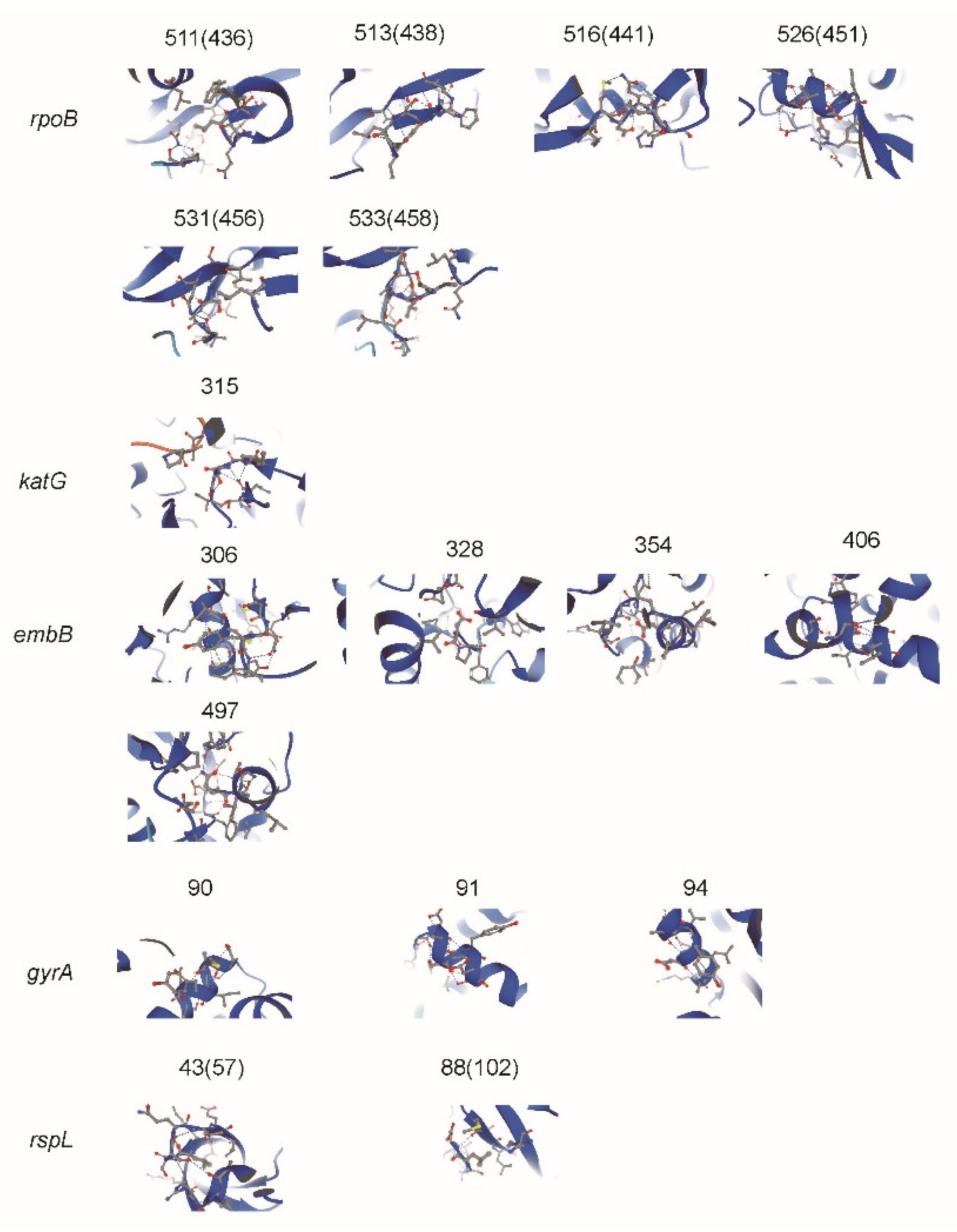 Antibiotics 10 01367 g002 Antibiotics 10 01367 g002