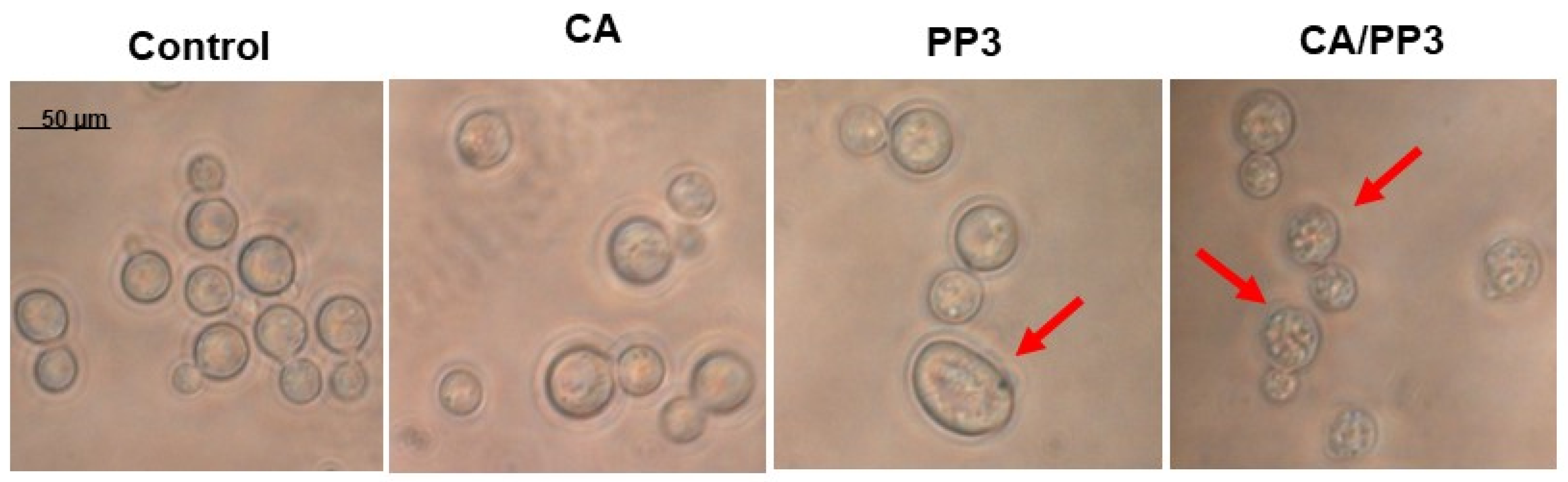 Antibiotics 10 01395 g004
