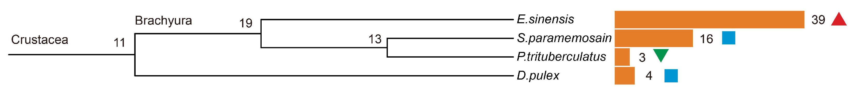 Antibiotics 10 01430 g001