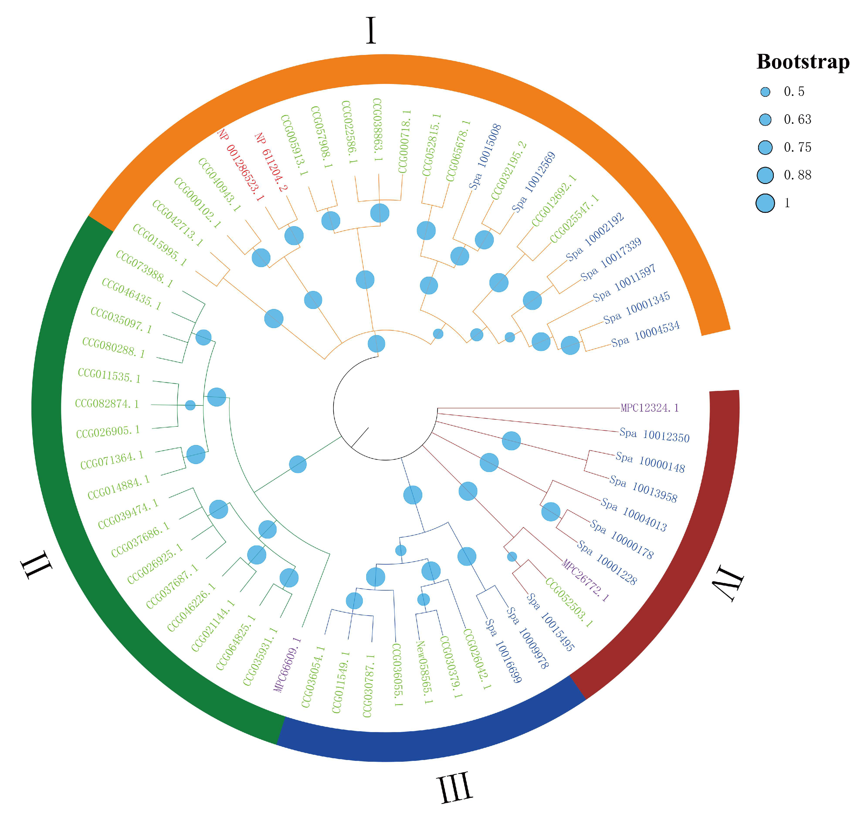 Antibiotics 10 01430 g002
