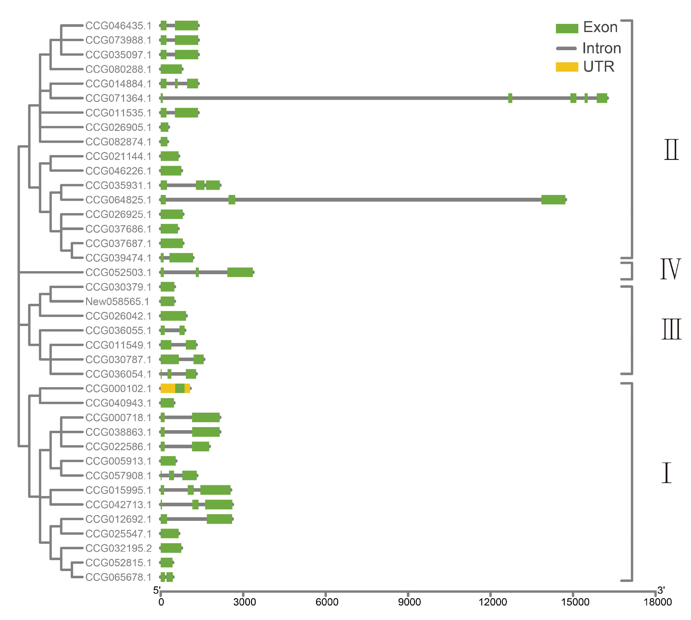 Antibiotics 10 01430 g004