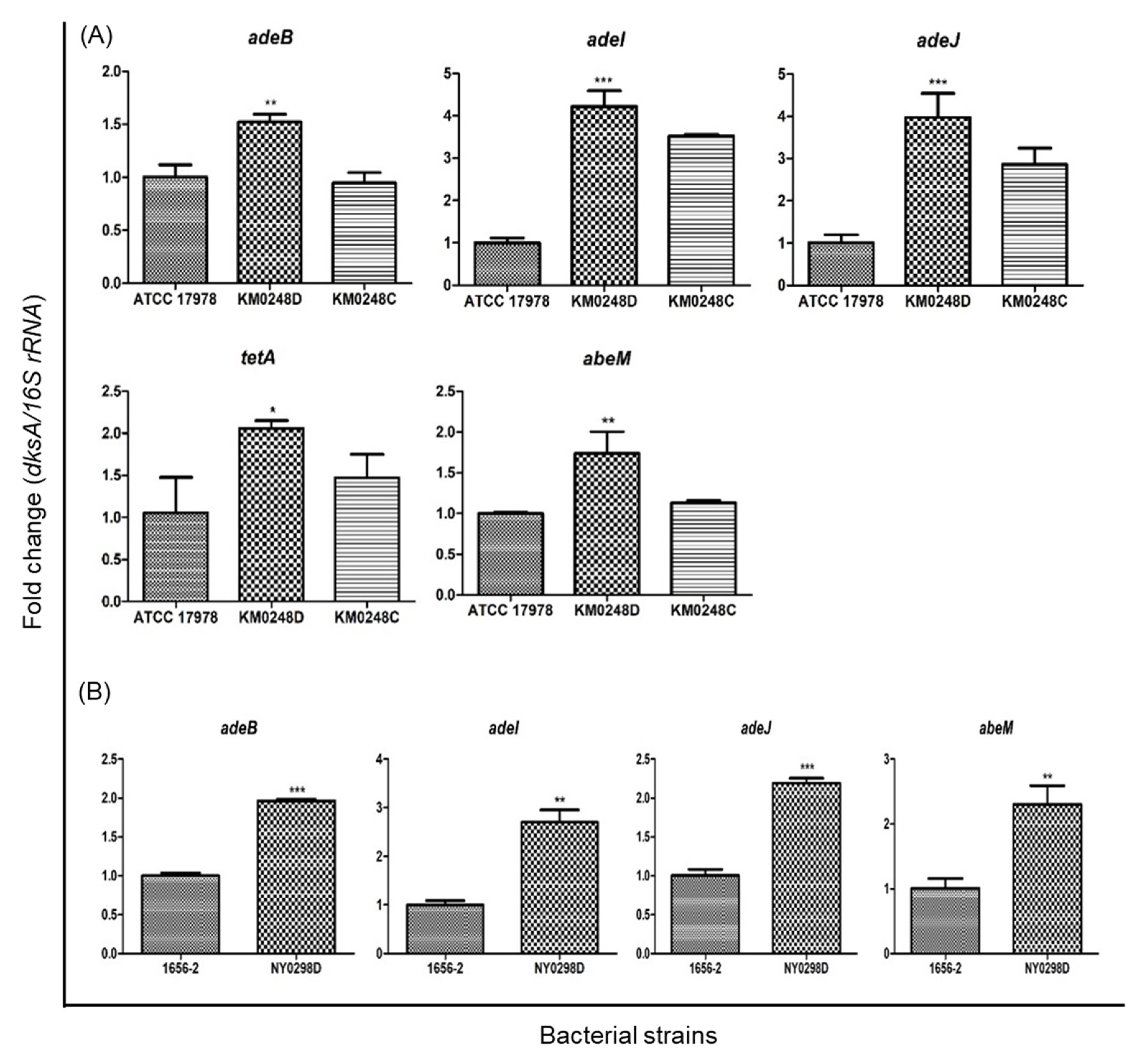 Antibiotics 10 01472 g001
