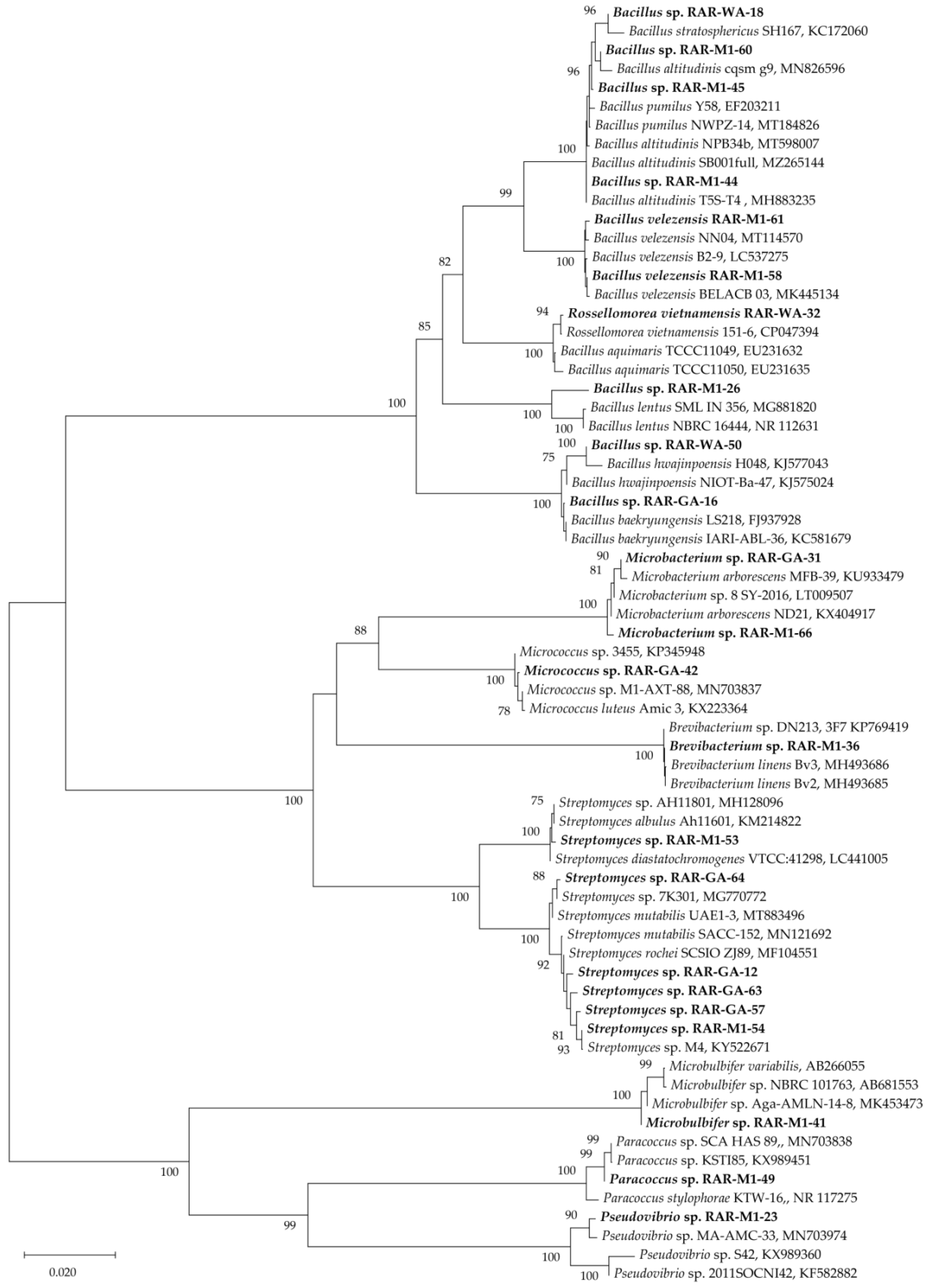 Antibiotics 10 01491 g002