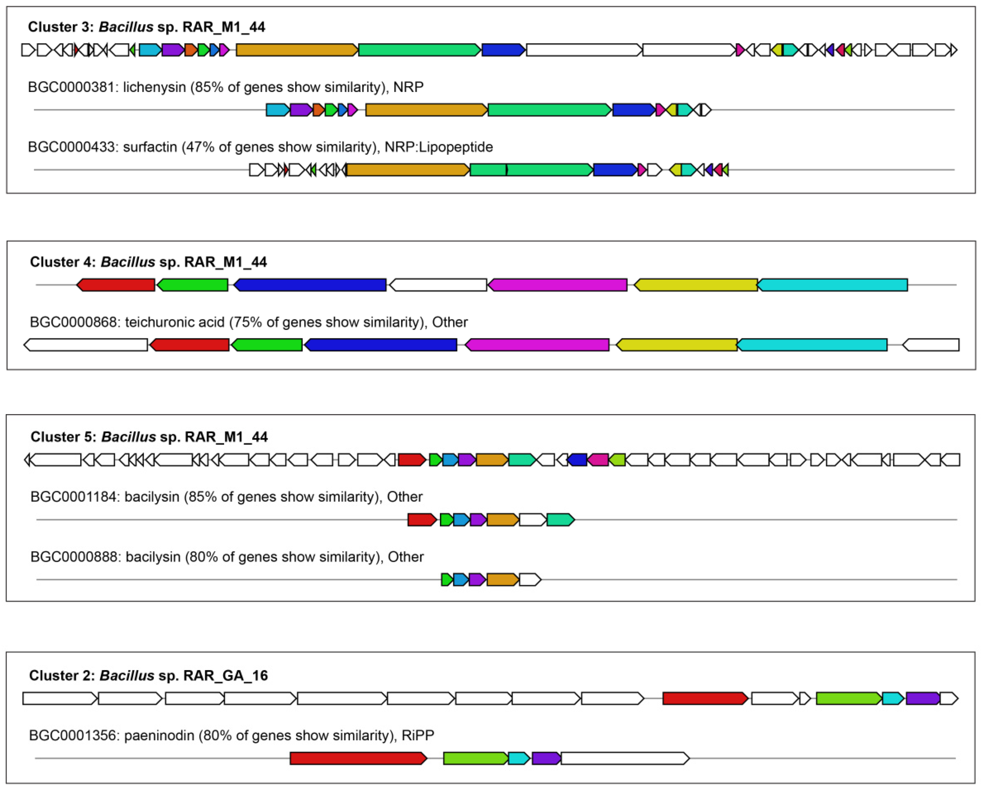 Antibiotics 10 01491 g003