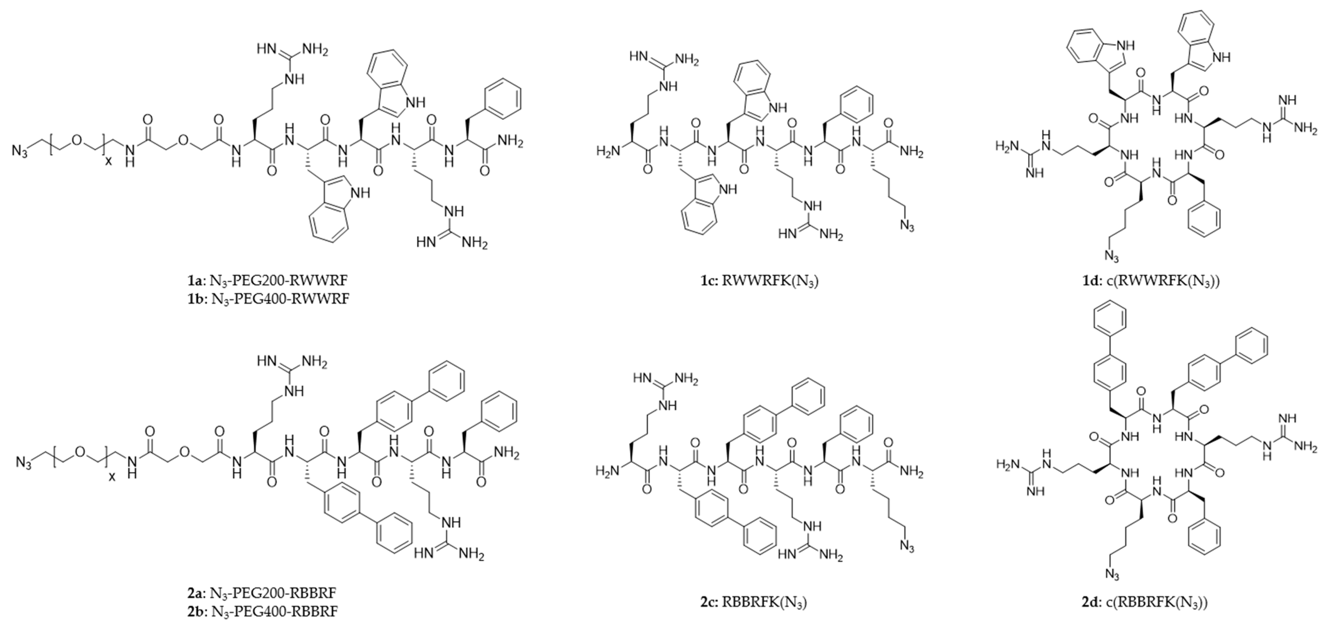 Antibiotics 10 01516 g003