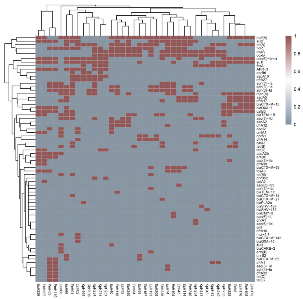 Antibiotics 11 00015 g002