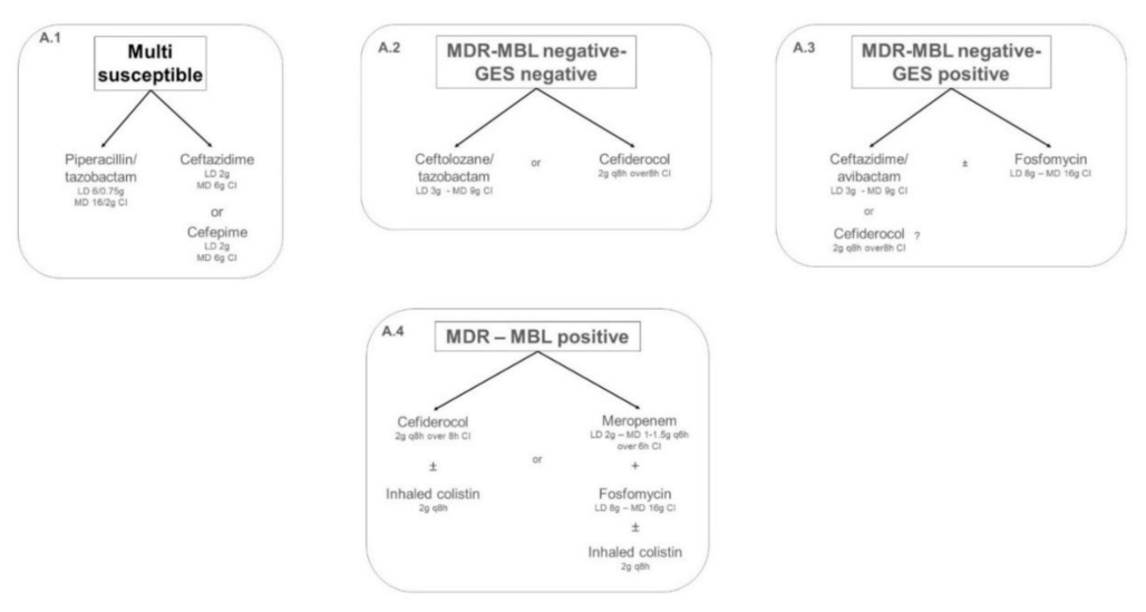 Antibiotics 11 00033 g001