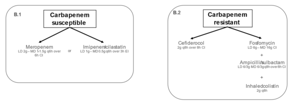 Antibiotics 11 00033 g002