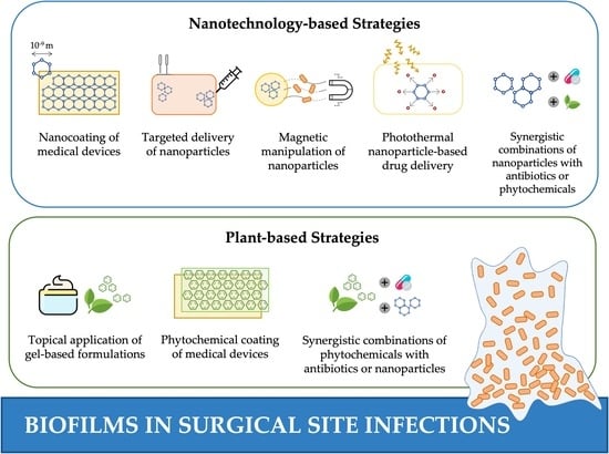 Antibiotics | Free Full-Text | Biofilms in Surgical Site Infections: Recent  Advances and Novel Prevention and Eradication Strategies | HTML