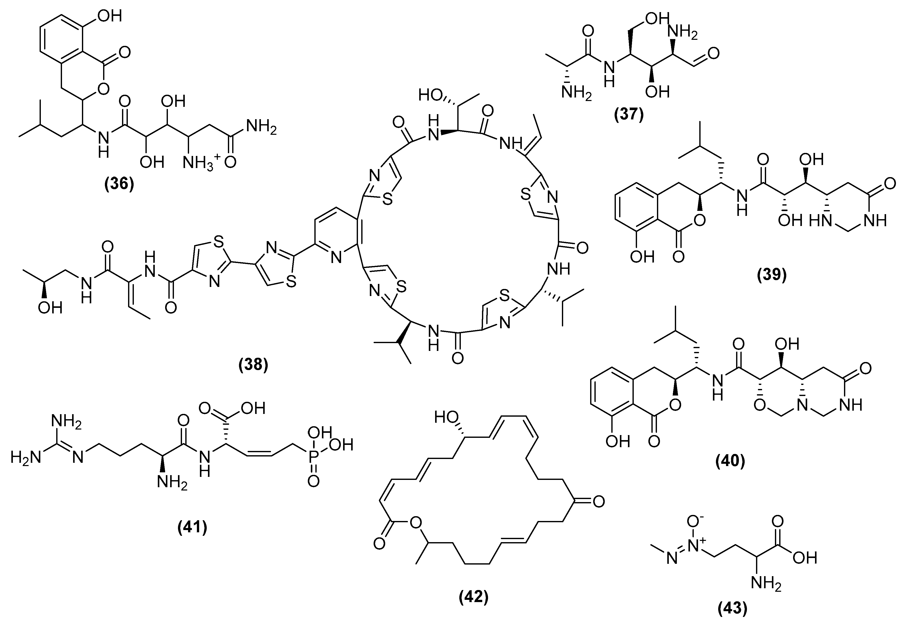 Antibiotics 11 00088 g010 Antibiotics 11 00088 g010