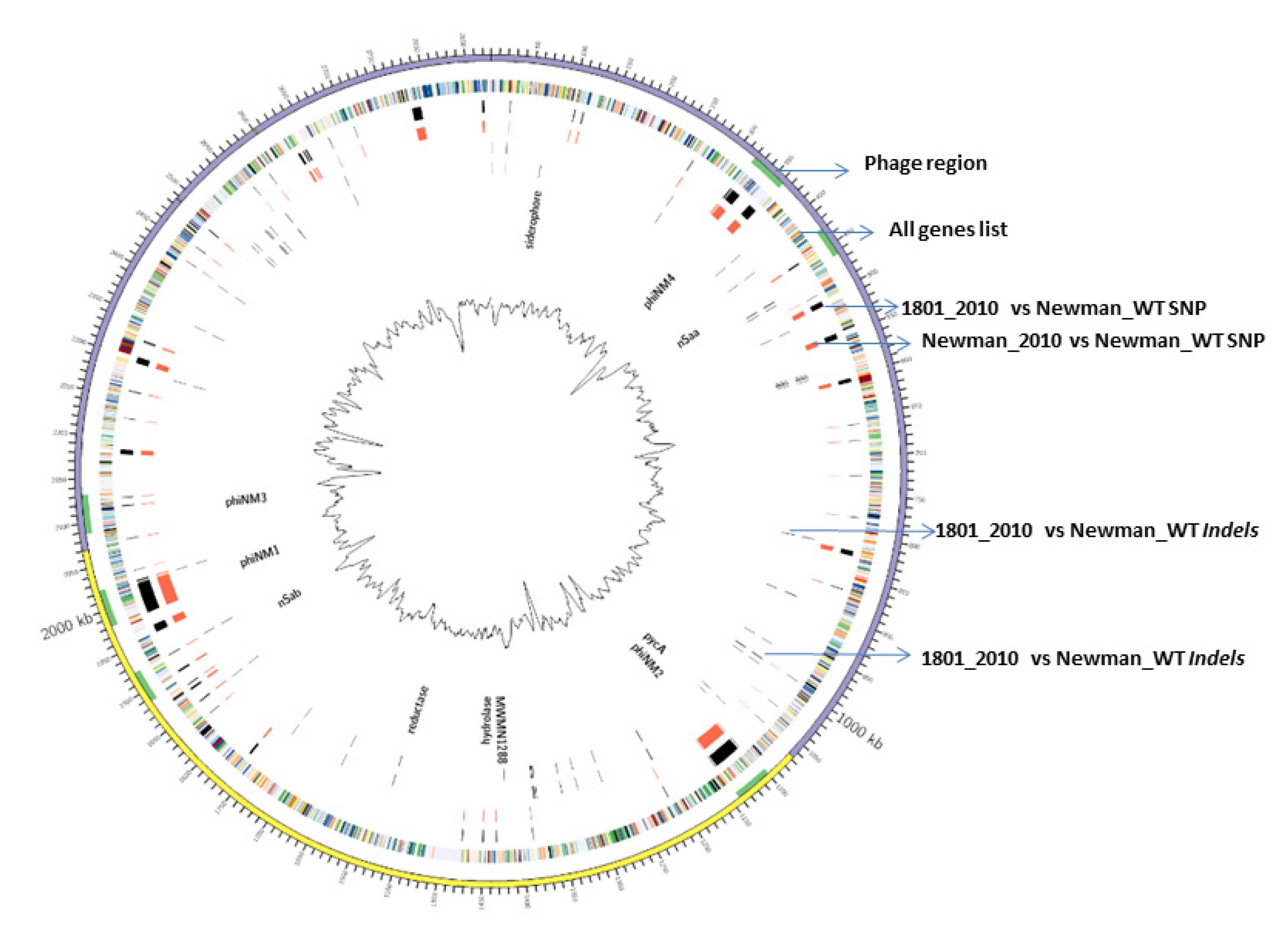 Frontiers  Transcriptome analysis revealed differentially