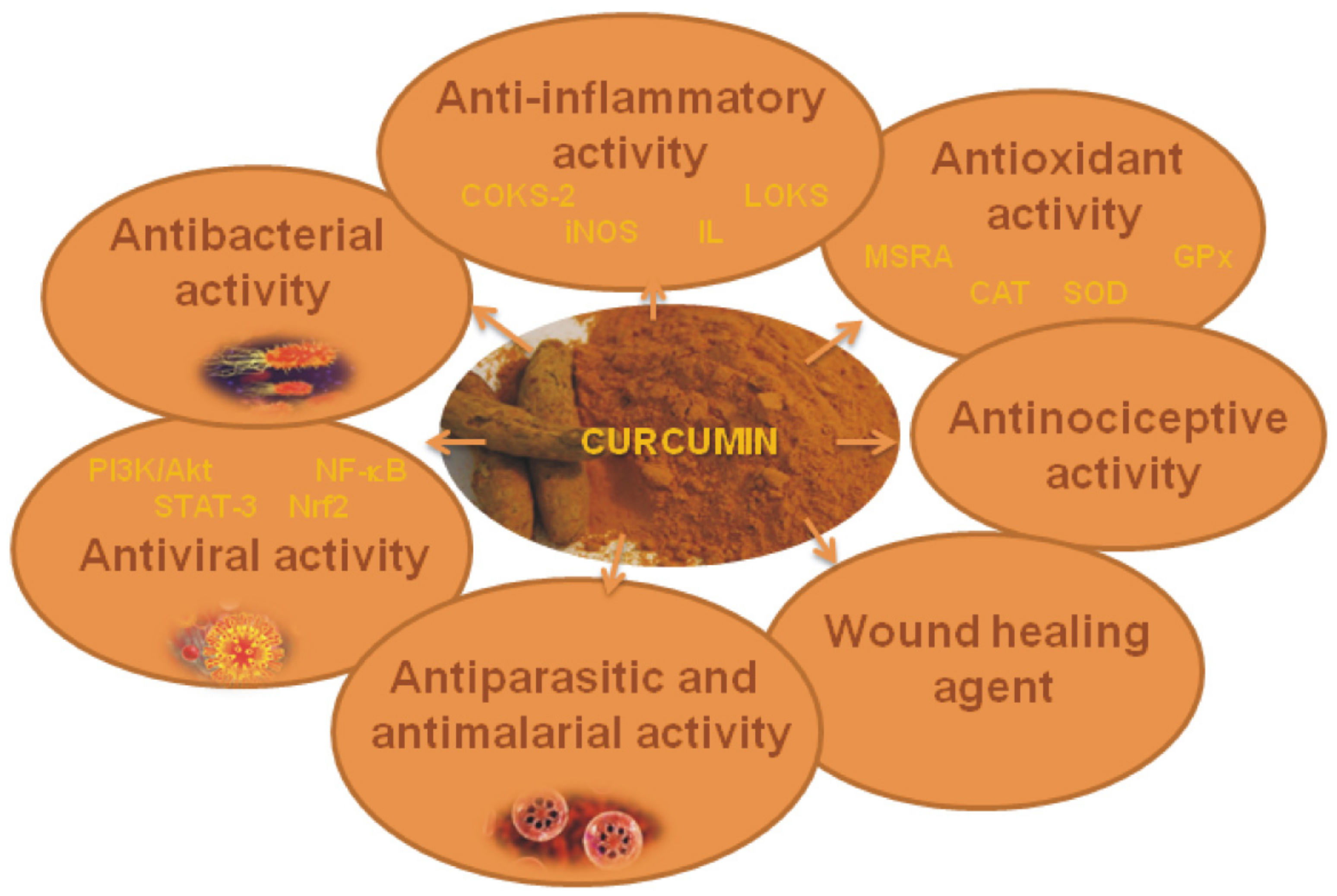 Antibiotics 11 00135 g006 Antibiotics 11 00135 g006