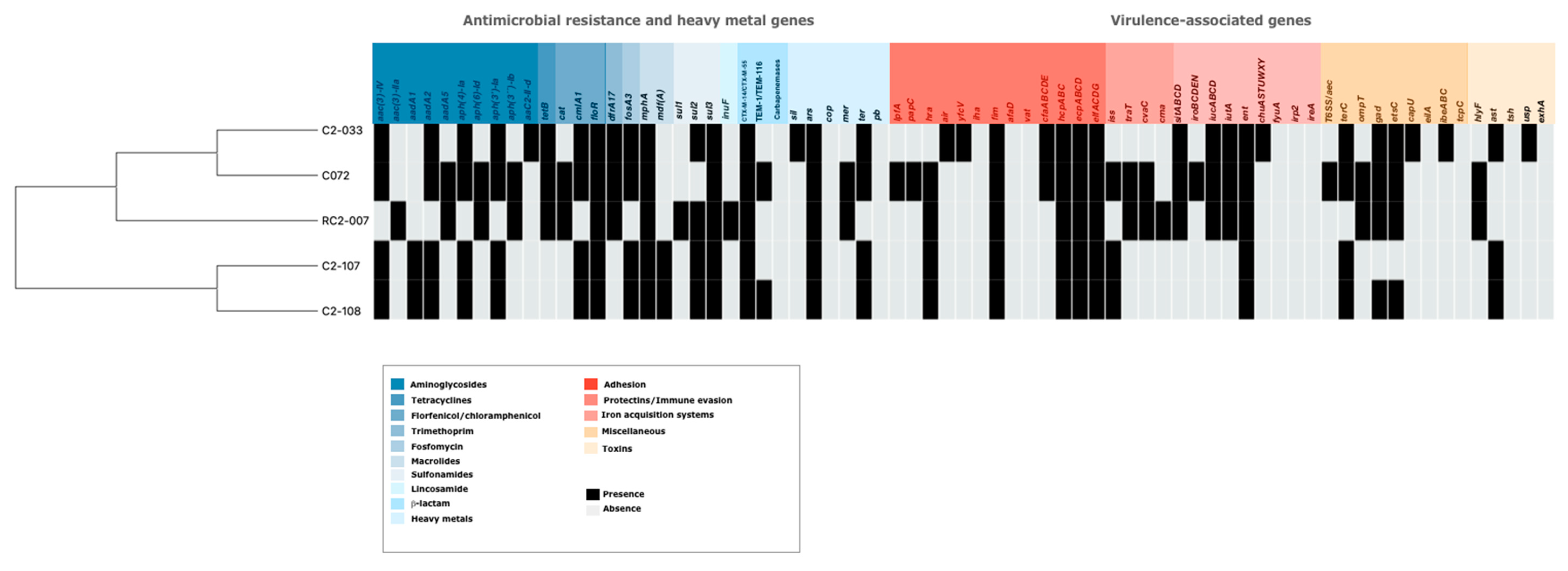 Frontiers  Genomic Characterization of mcr-1.1-Producing Escherichia coli  Recovered From Human Infections in São Paulo, Brazil