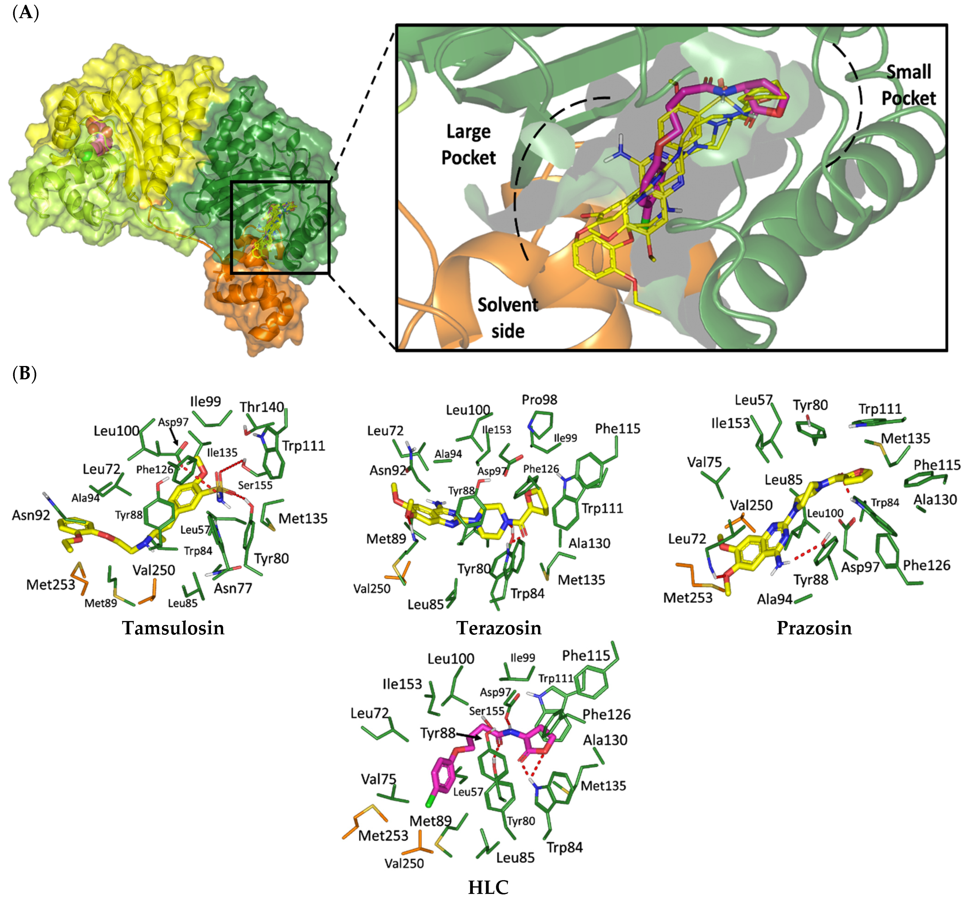 Antibiotics 11 00178 g002