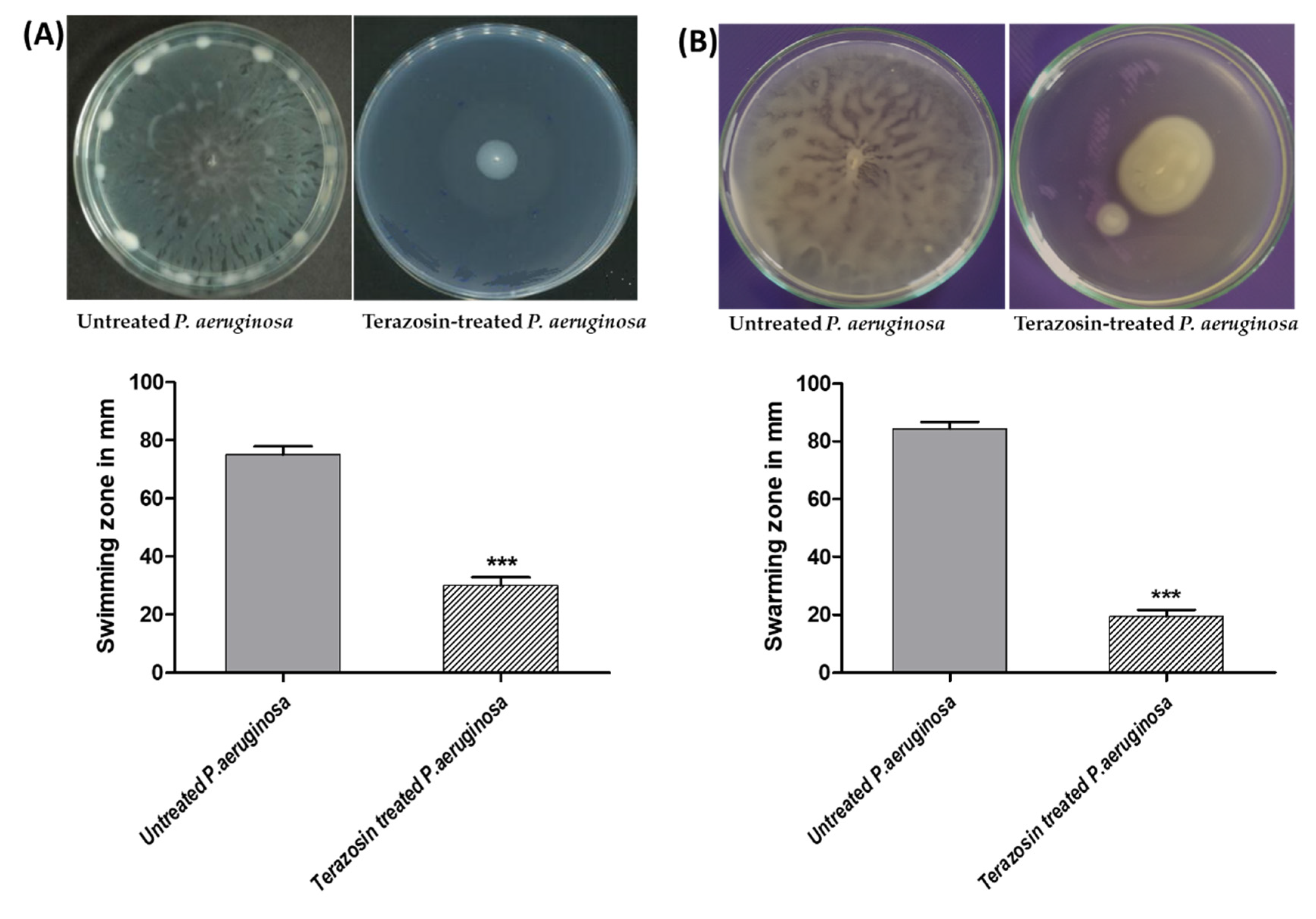 Antibiotics 11 00178 g013
