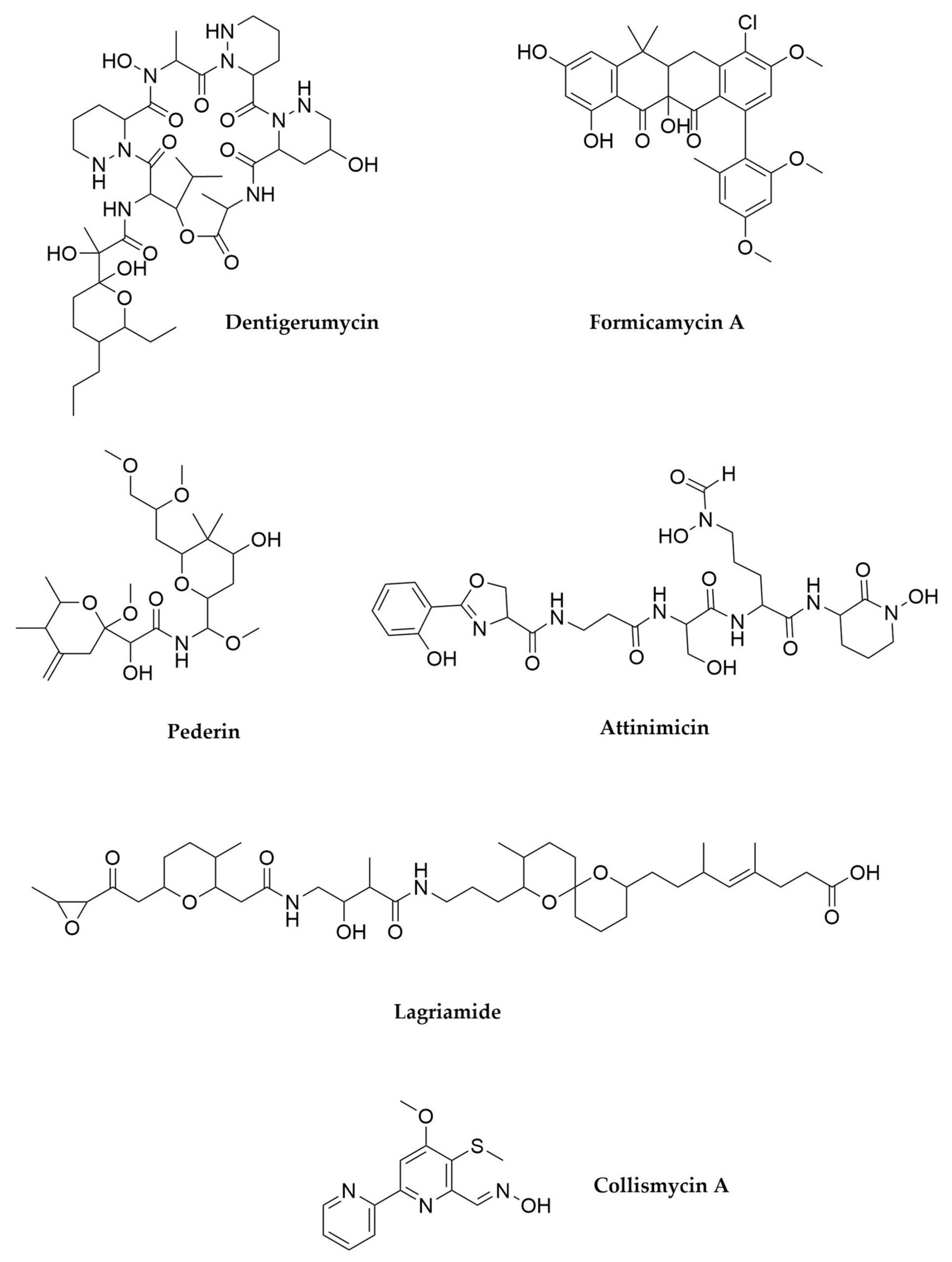 Antibiotics | Free Full-Text | Beyond Soil-Dwelling Actinobacteria ...