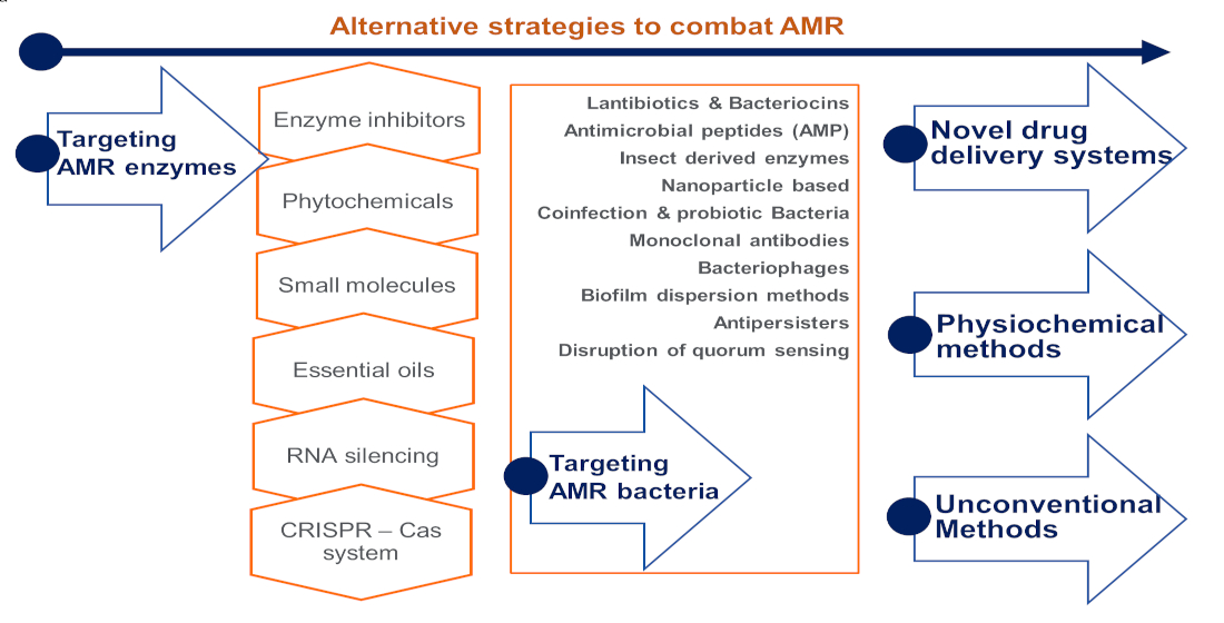 Antibiotics | Free Full-Text | Progress in Alternative Strategies to Combat  Antimicrobial Resistance: Focus on Antibiotics | HTML