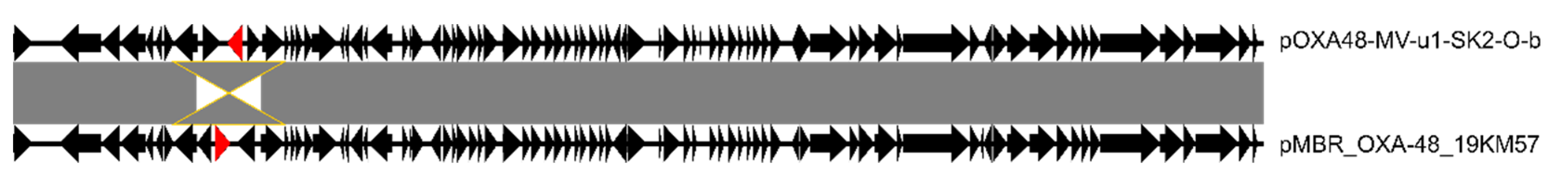 Antibiotics 11 00213 g002