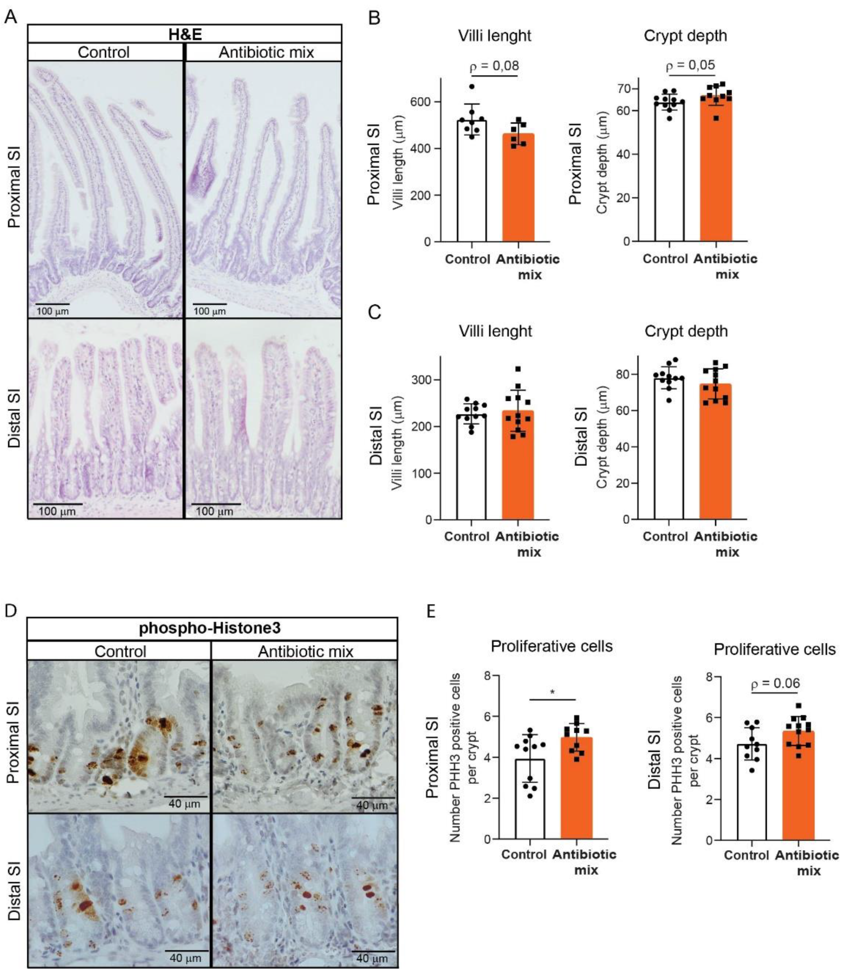 Antibiotics 11 00267 g002
