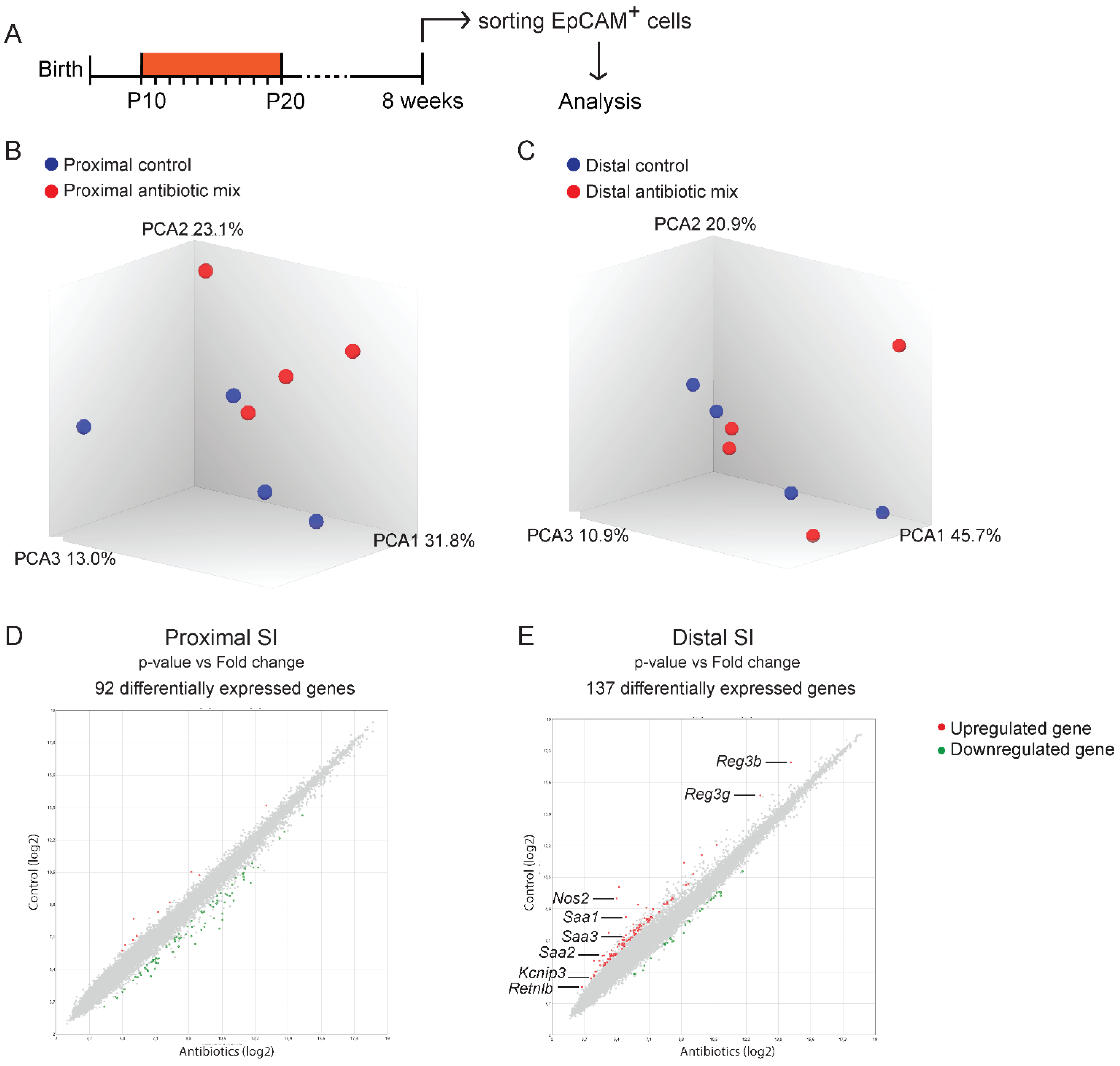 Antibiotics 11 00267 g004