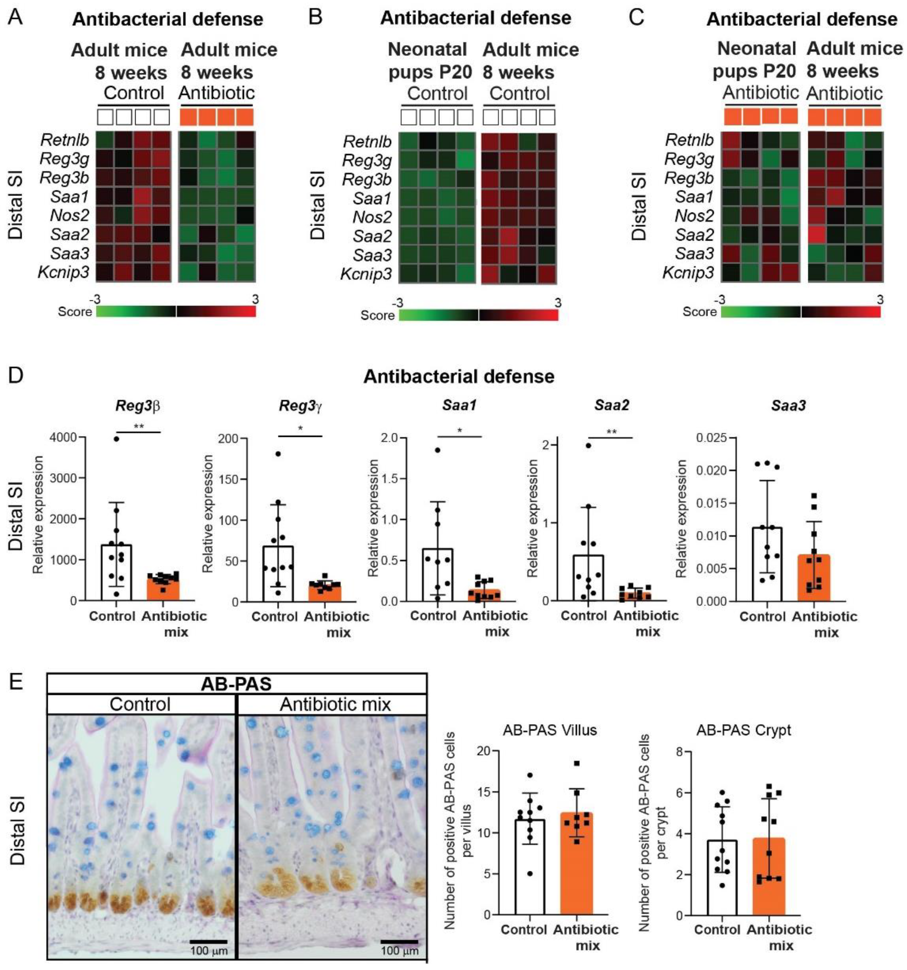 Antibiotics 11 00267 g005