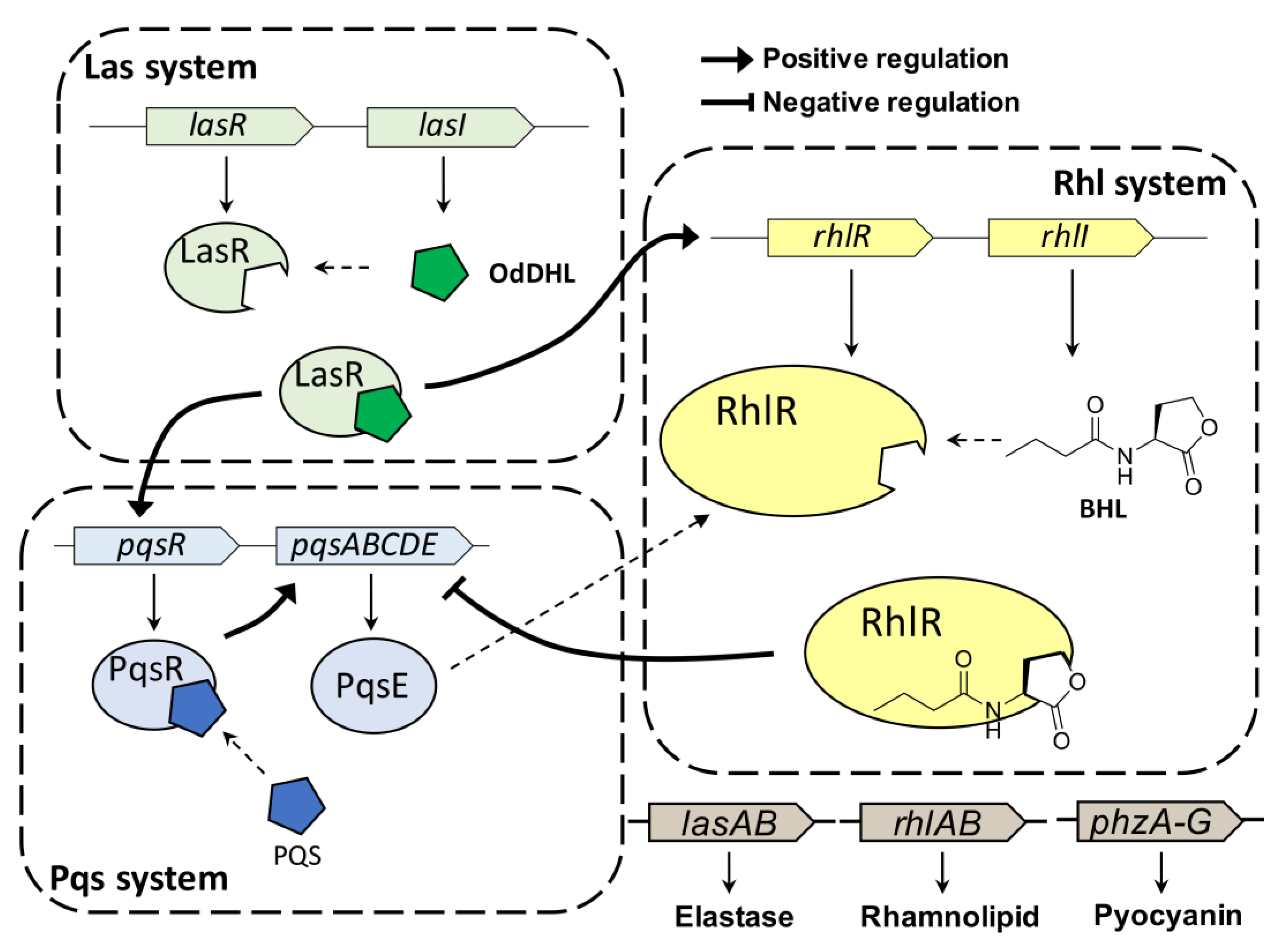 Antibiotics 11 00274 g001