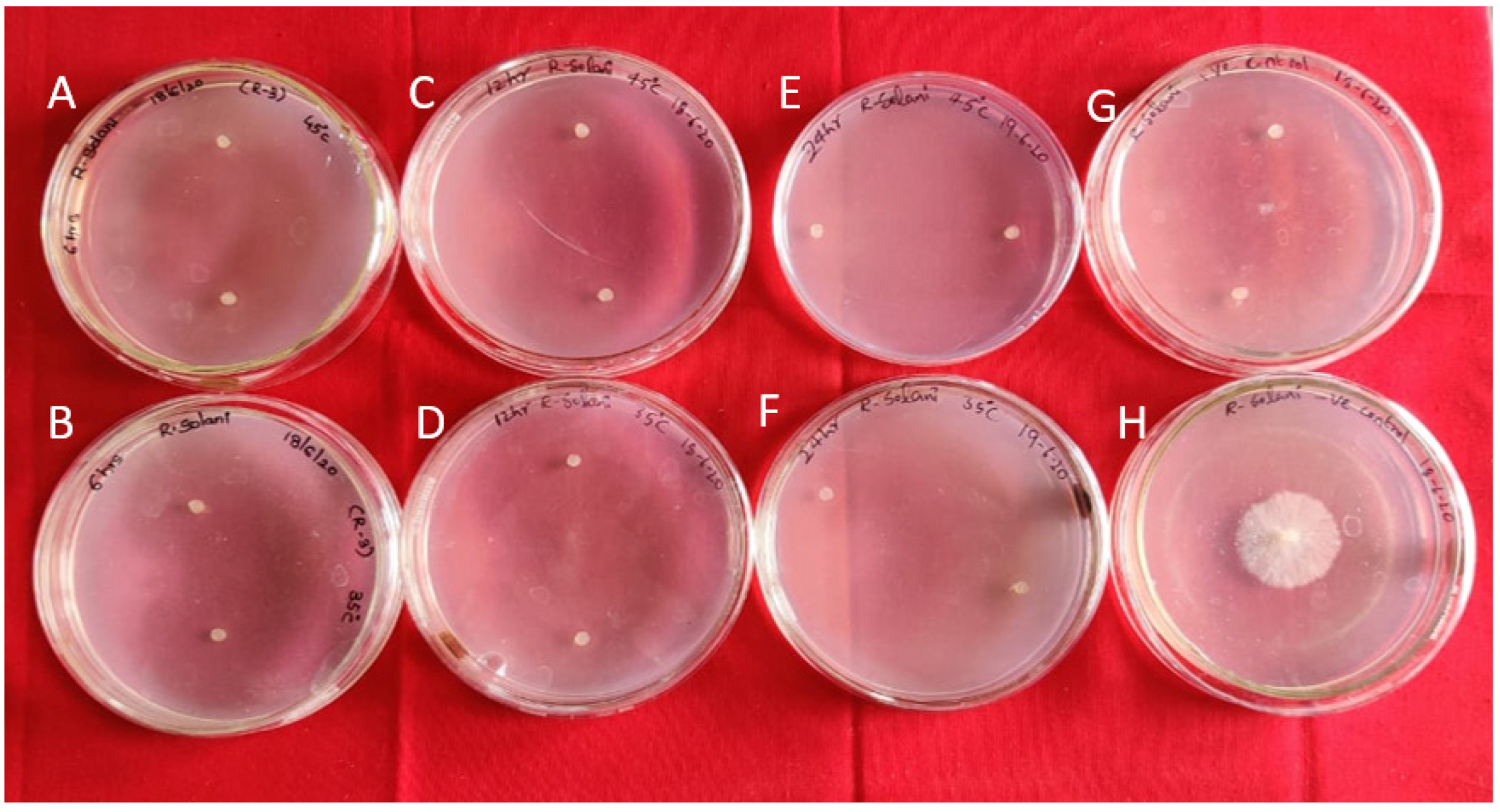 Antibiotics | Free Full-Text | Performance of Novel Antimicrobial